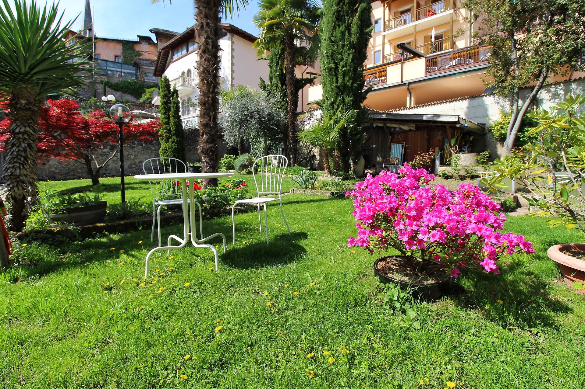 Giardino 5