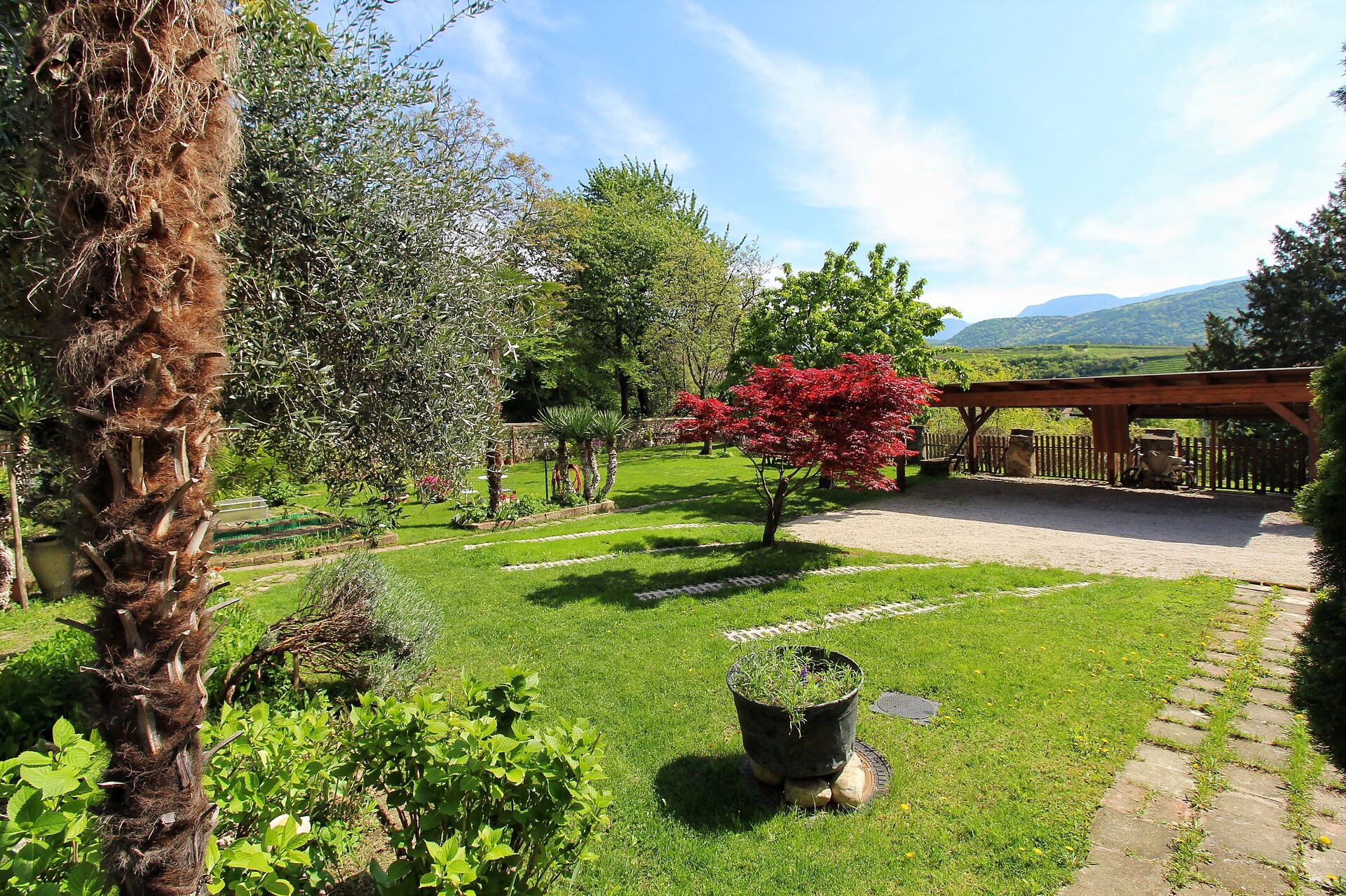 Giardino 8