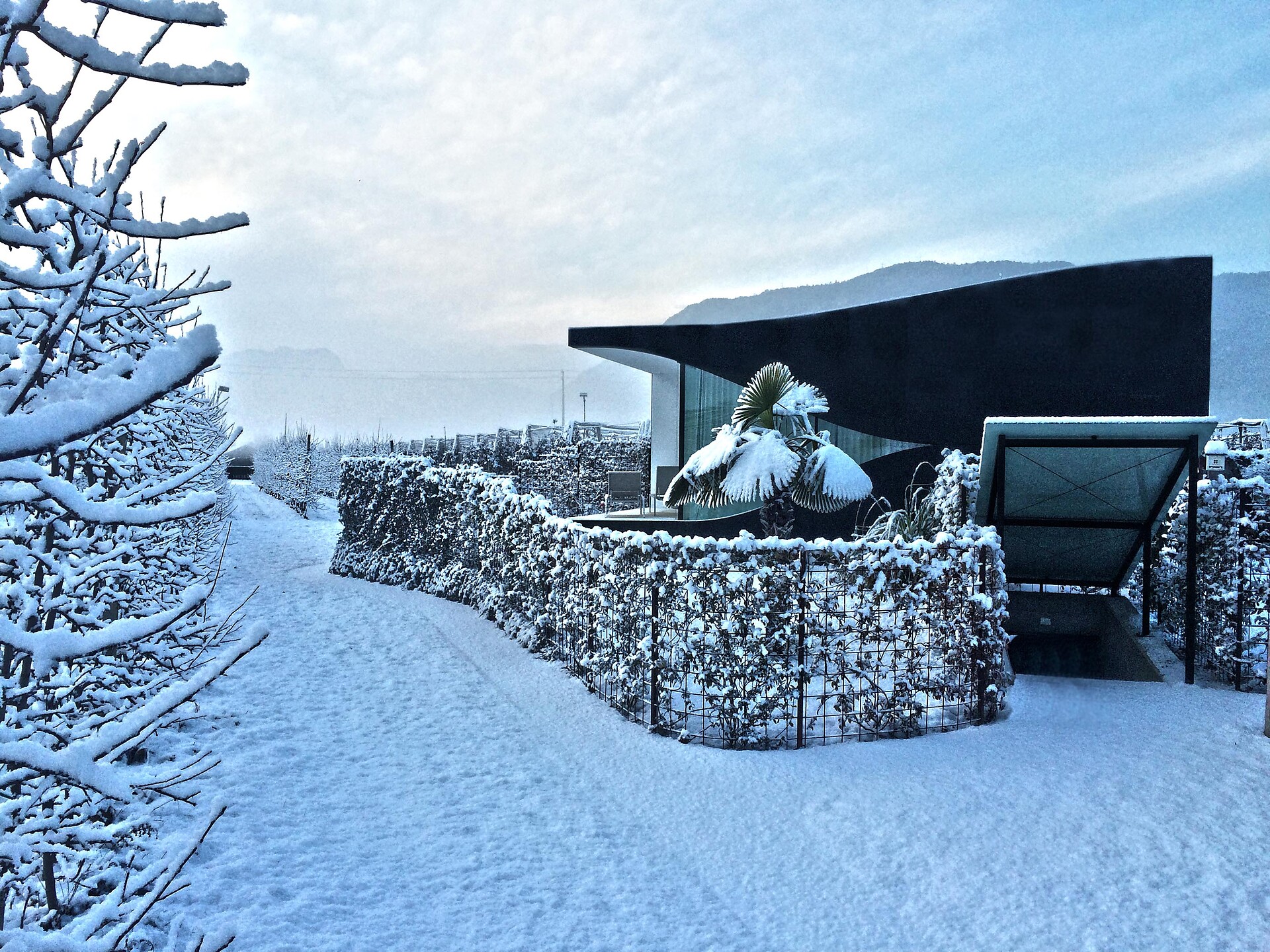 Mirror Houses Inverno