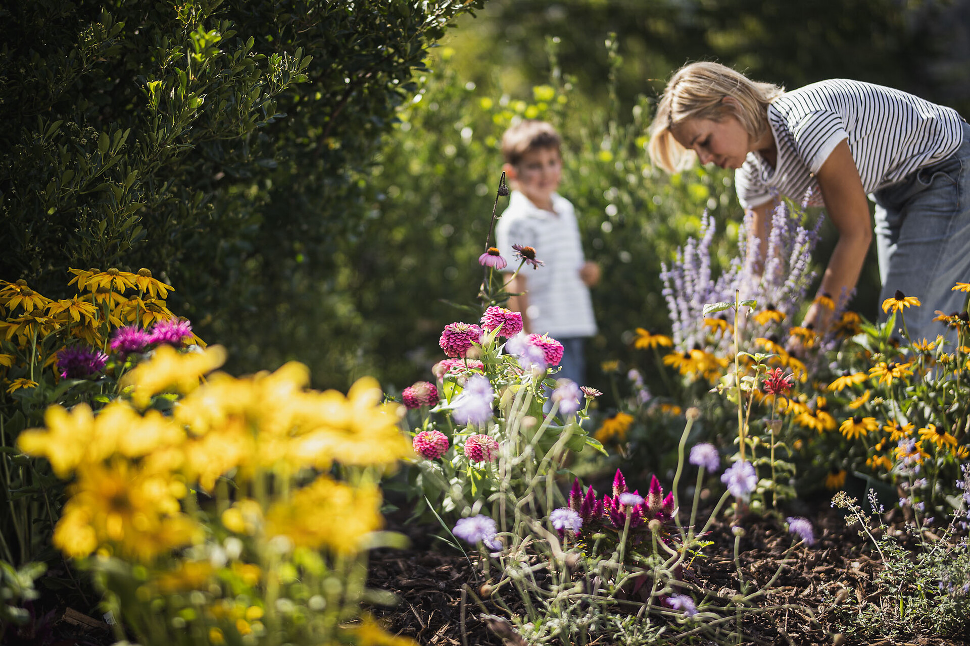 Garden