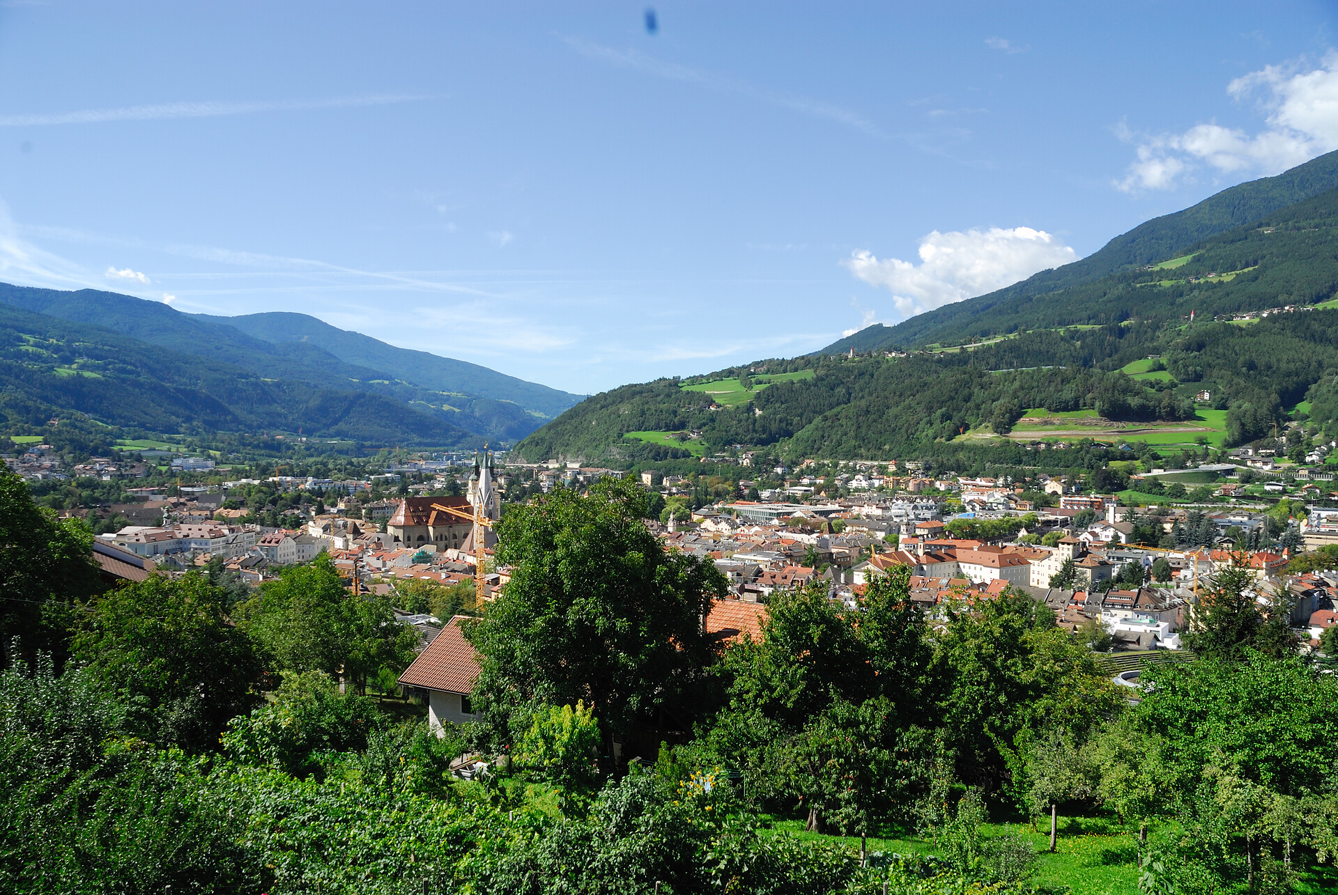 Panorama