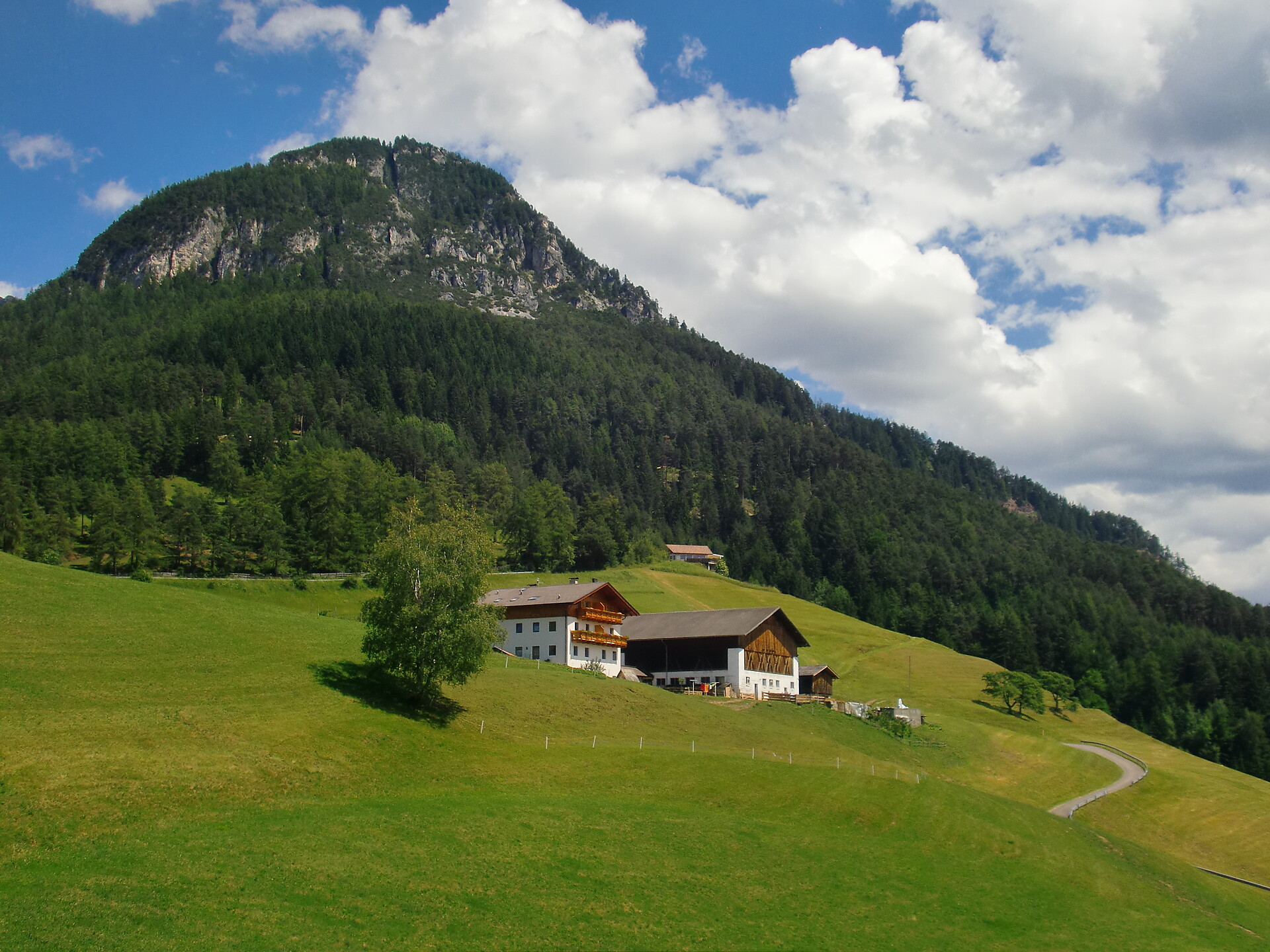 Maso Mongadui - Regione dolomitica Alpe di Siusi - #1 - suedtirol.info