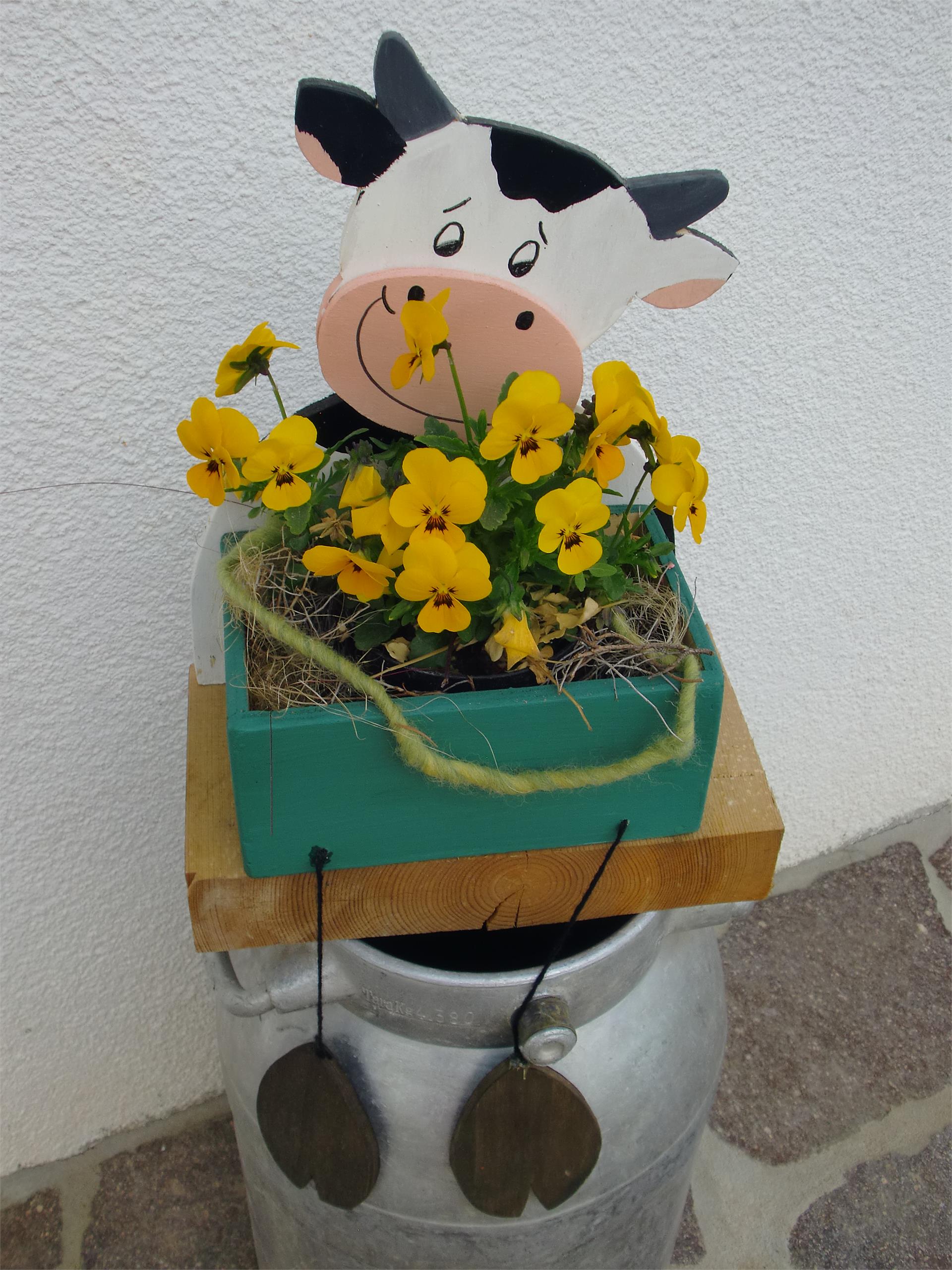 Mongaduierhof Völs am Schlern 7 suedtirol.info