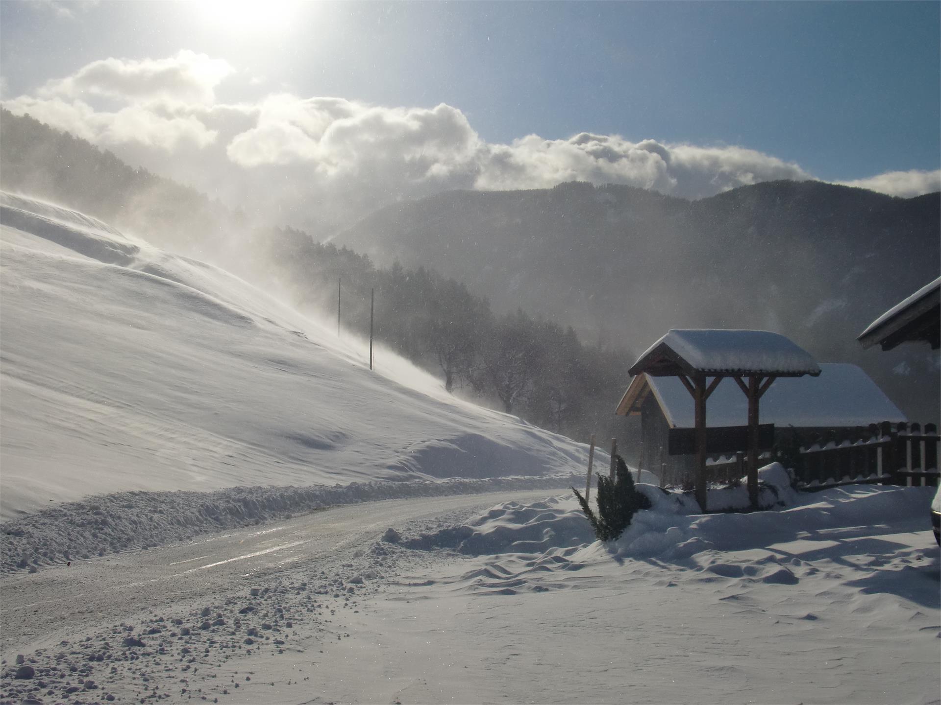 Mongaduierhof Völs am Schlern 2 suedtirol.info