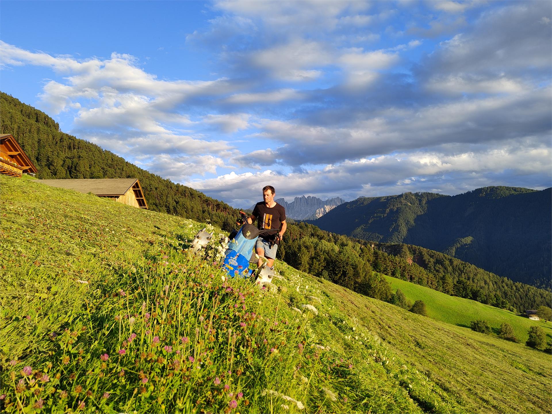 Mongaduierhof Völs am Schlern 17 suedtirol.info