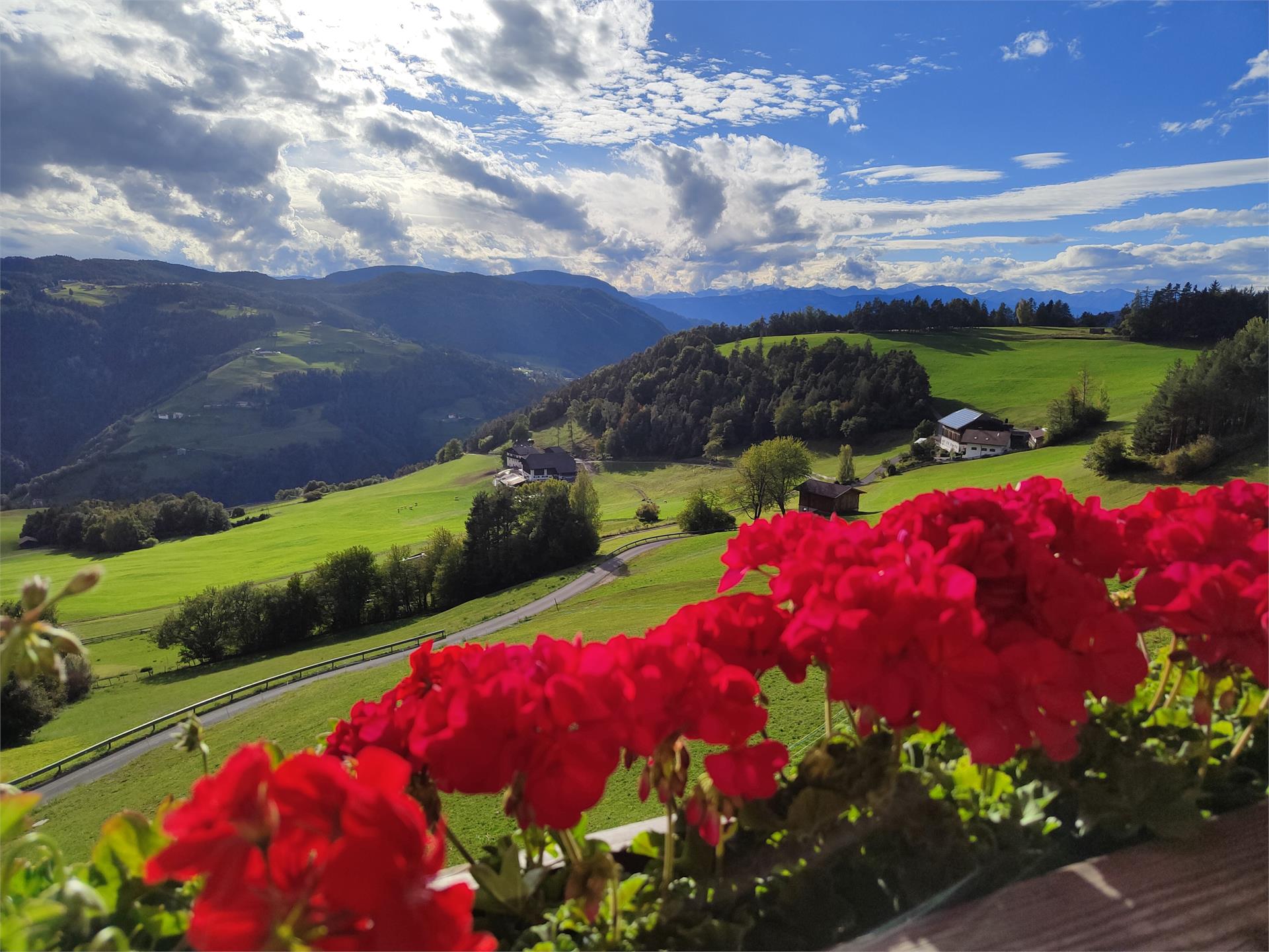Mongaduierhof Völs am Schlern 3 suedtirol.info