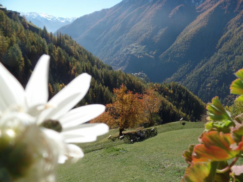 Maso Montfert Senales 6 suedtirol.info