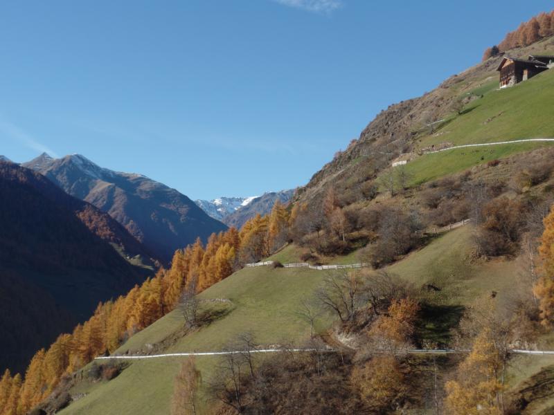 Maso Montfert Senales 7 suedtirol.info
