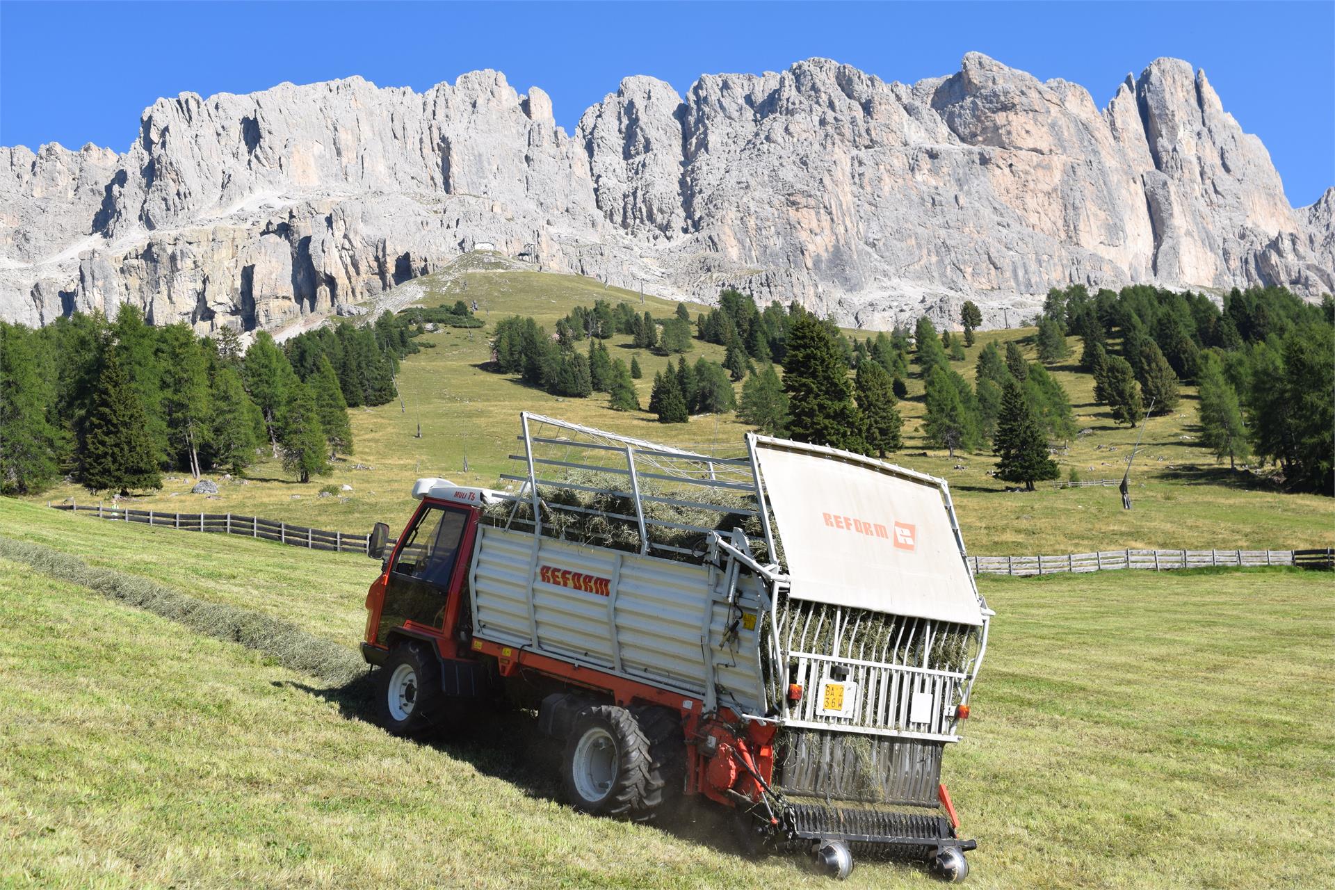 Messner Hof Tiers am Rosengarten 10 suedtirol.info
