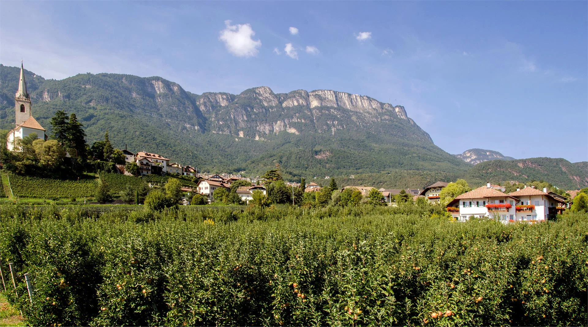 Mareithof Kaltern an der Weinstraße 8 suedtirol.info