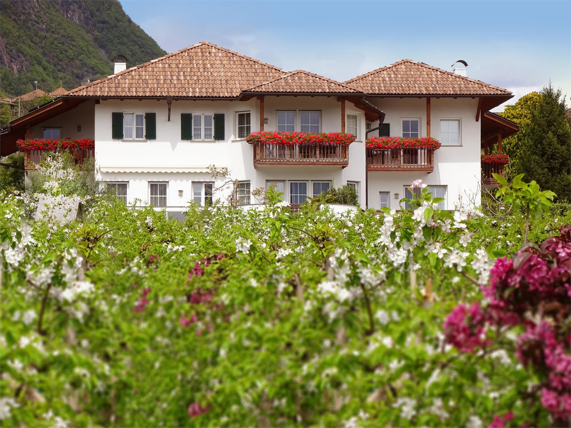Mareithof Kaltern an der Weinstraße/Caldaro sulla Strada del Vino 6 suedtirol.info
