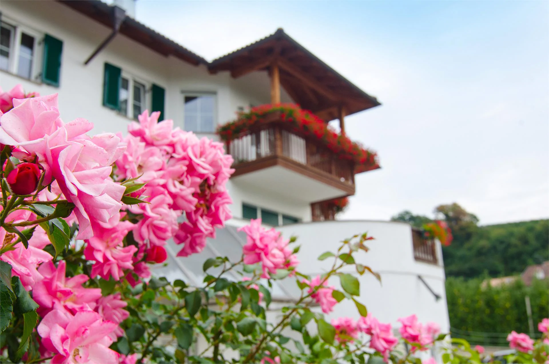 Mareithof Kaltern an der Weinstraße 13 suedtirol.info