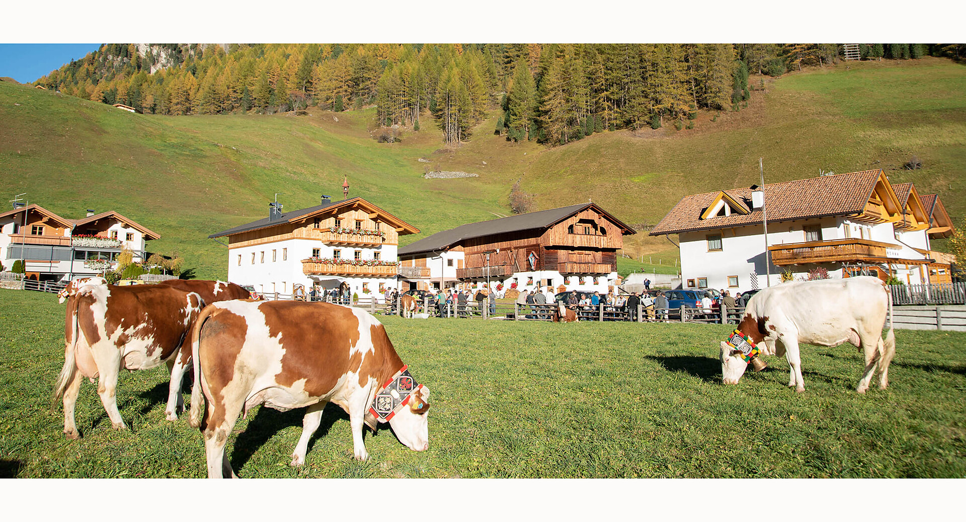 Mooserhof Rein in Taufers Riva di Tures