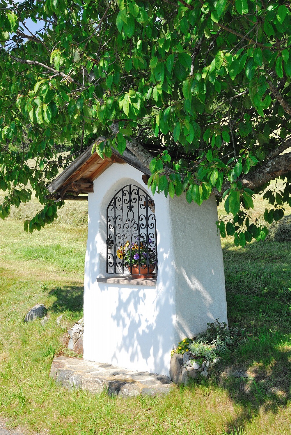 Mitterhof Villanders/Villandro 12 suedtirol.info
