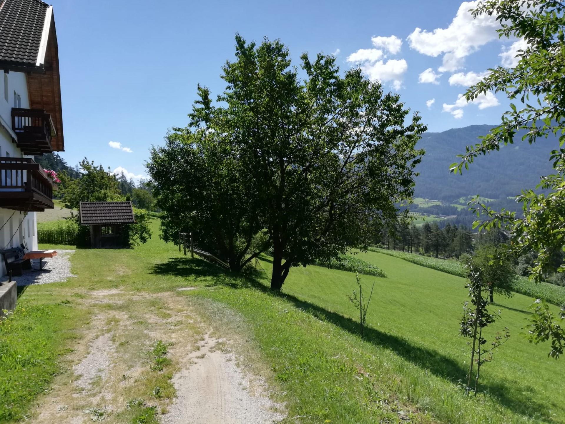 Mitterkröll Bruneck 5 suedtirol.info