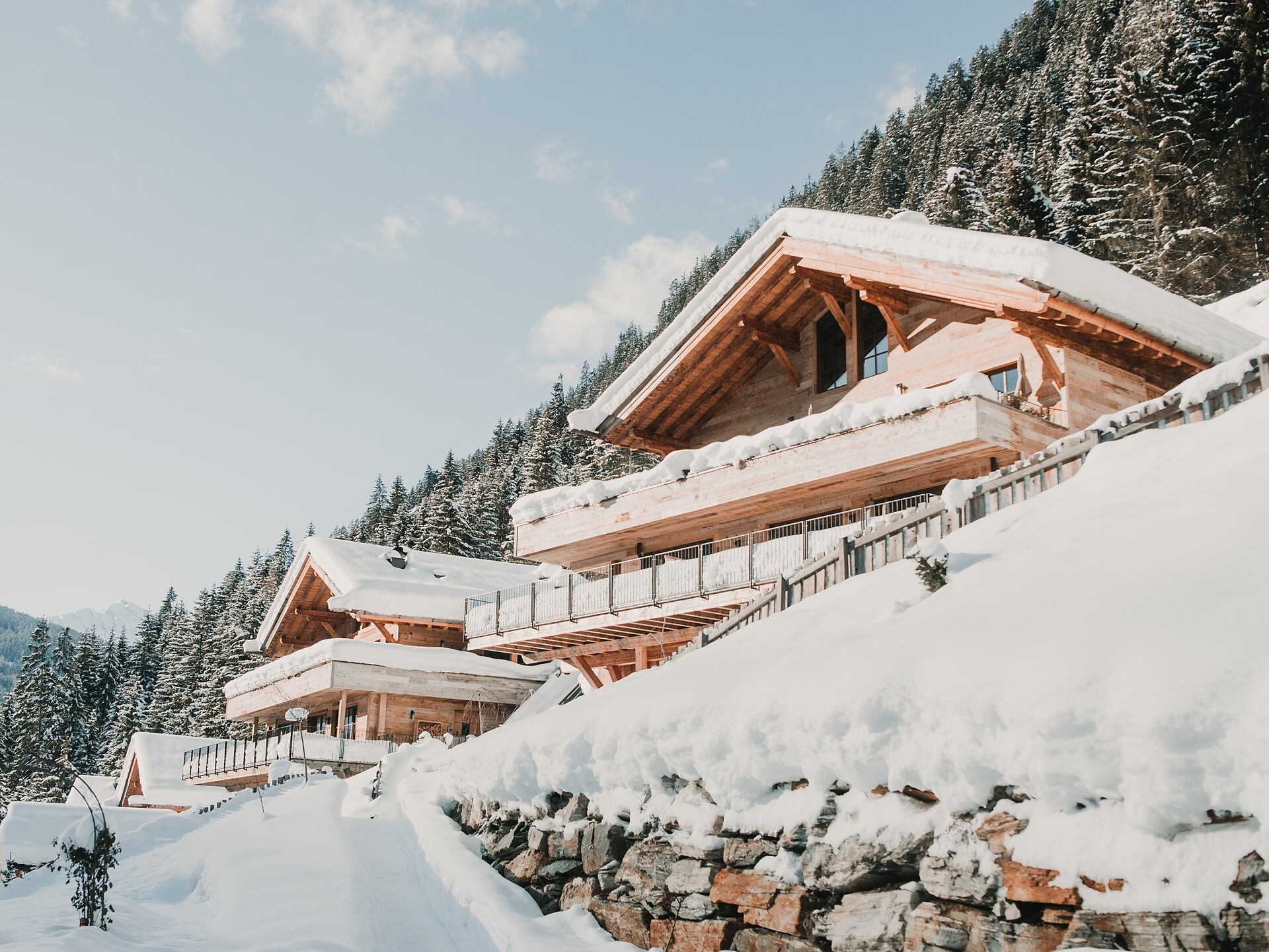 Mons Silva Chalets a Racines