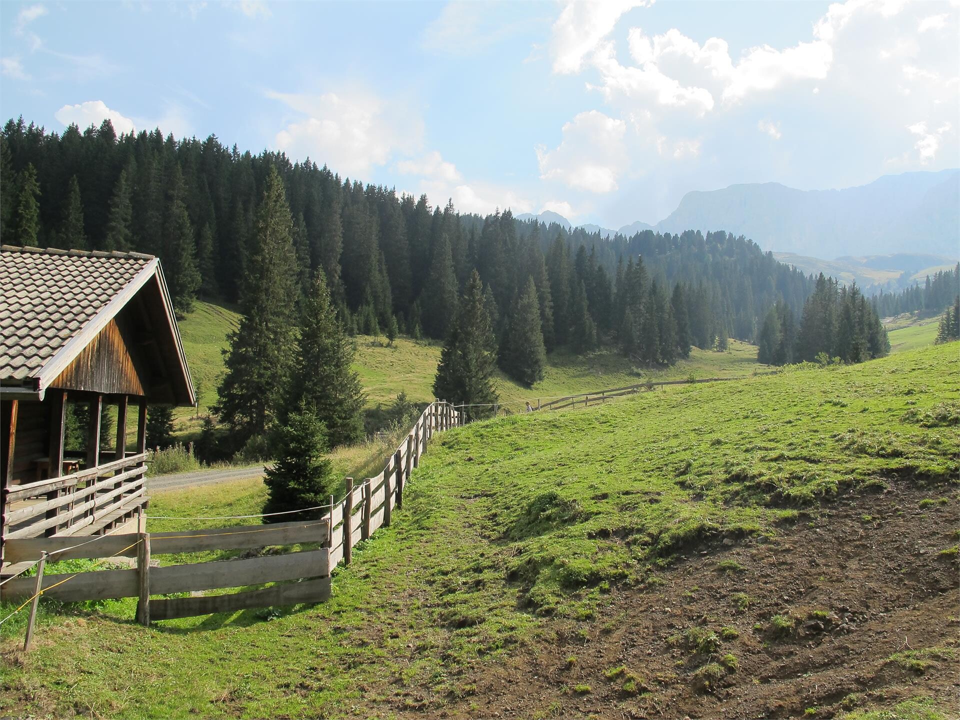 Mountain hut Malfertheiner Schwaige - Dolomites Region Seiser Alm - #1 - suedtirol.info