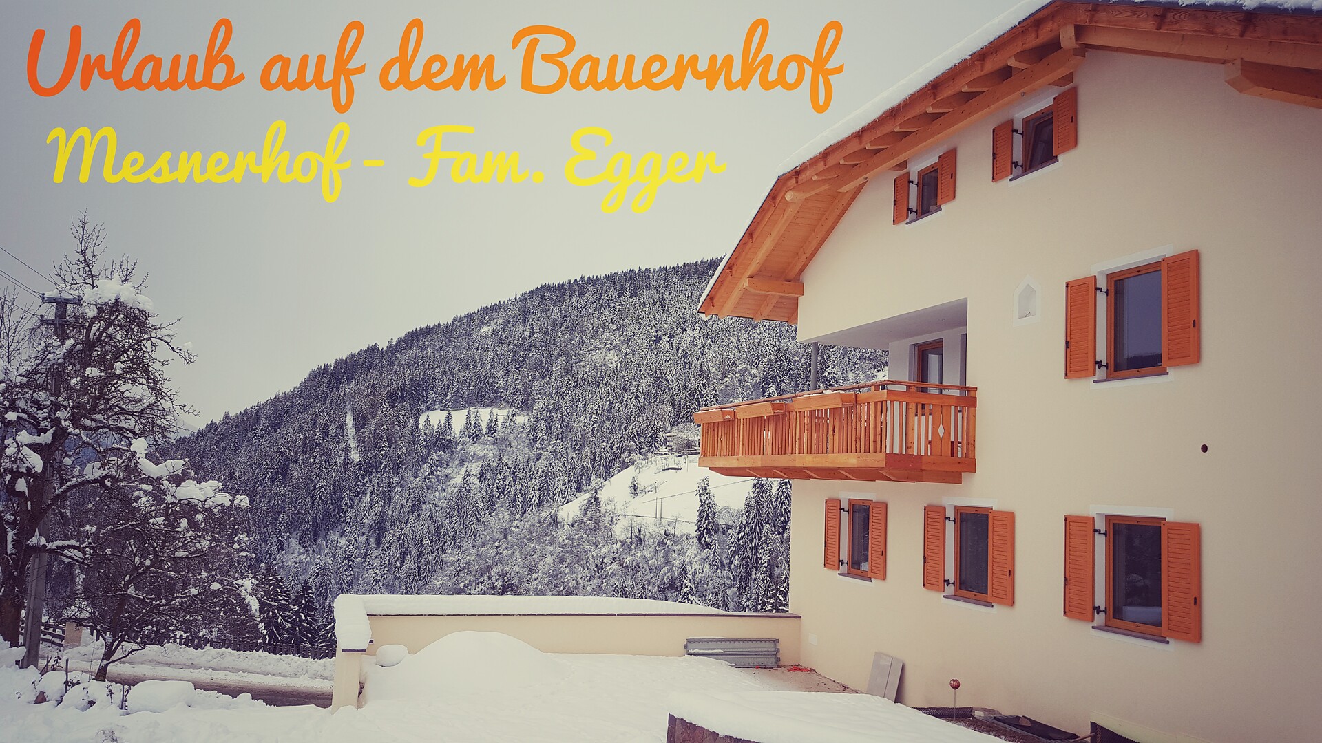 Mesnerhof Winter