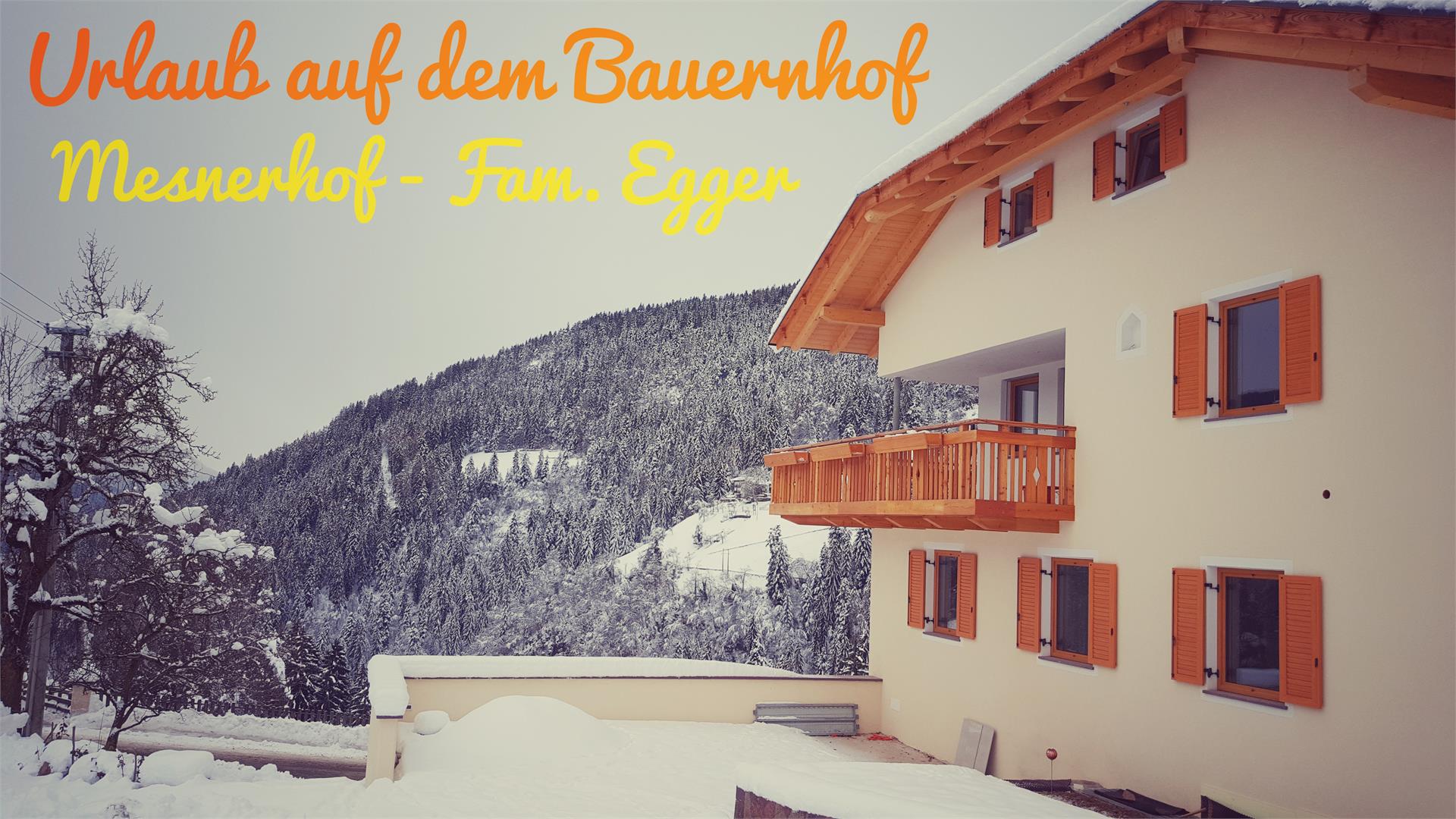 Mesnerhof Laurein 3 suedtirol.info