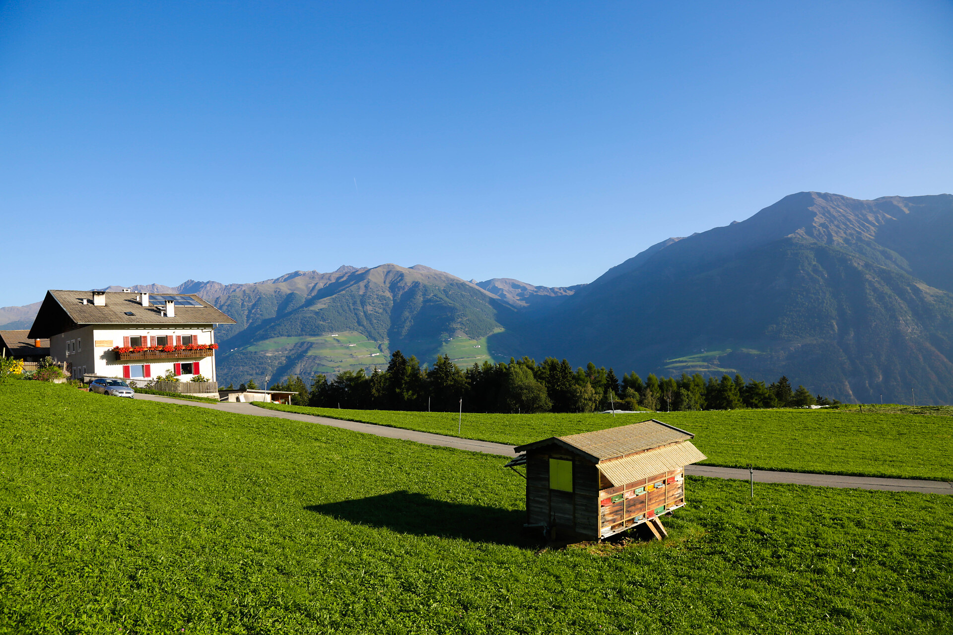 Farm Mairing
