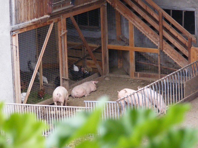 Mairinghof
