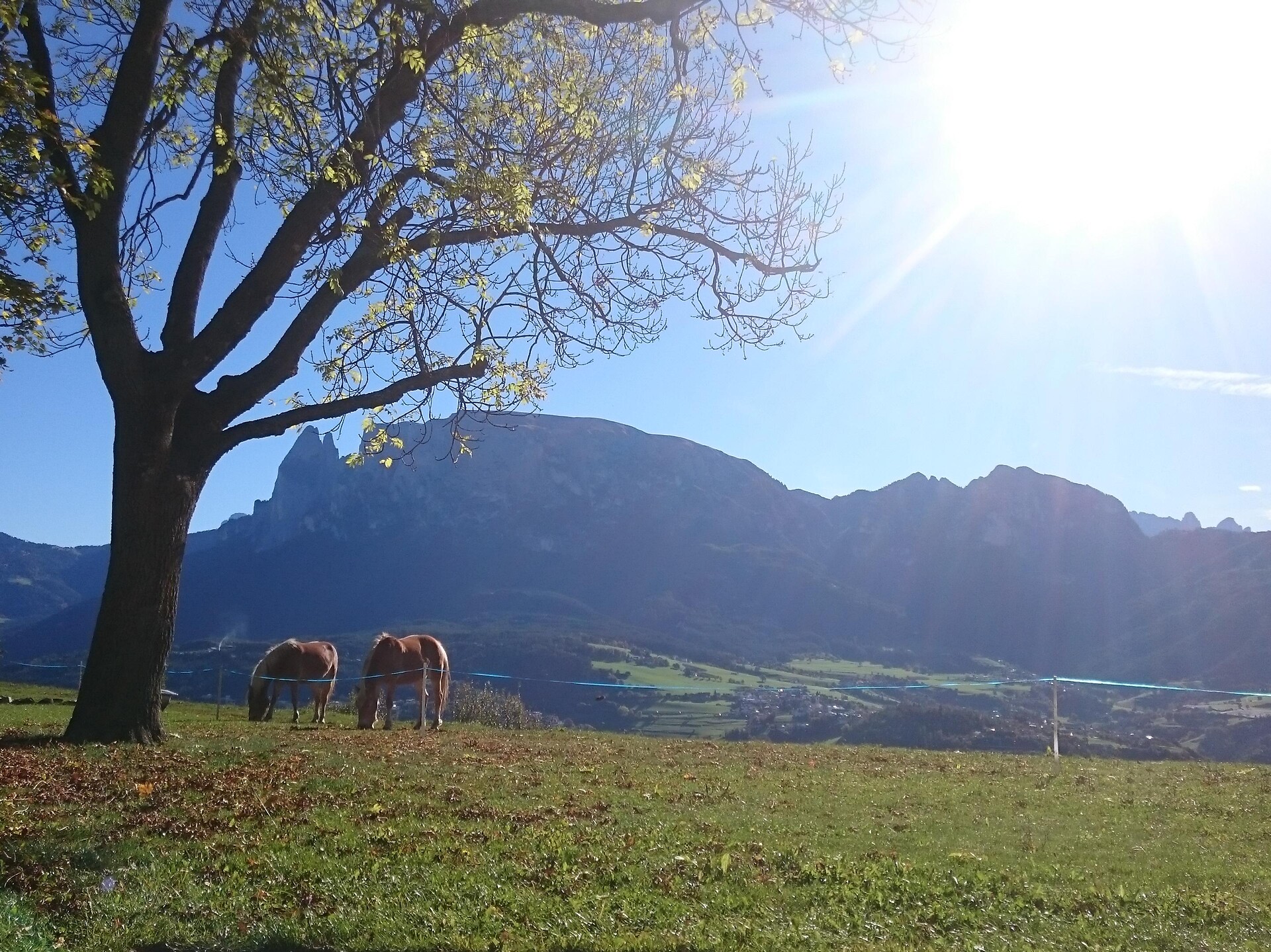 Moarhof autumn