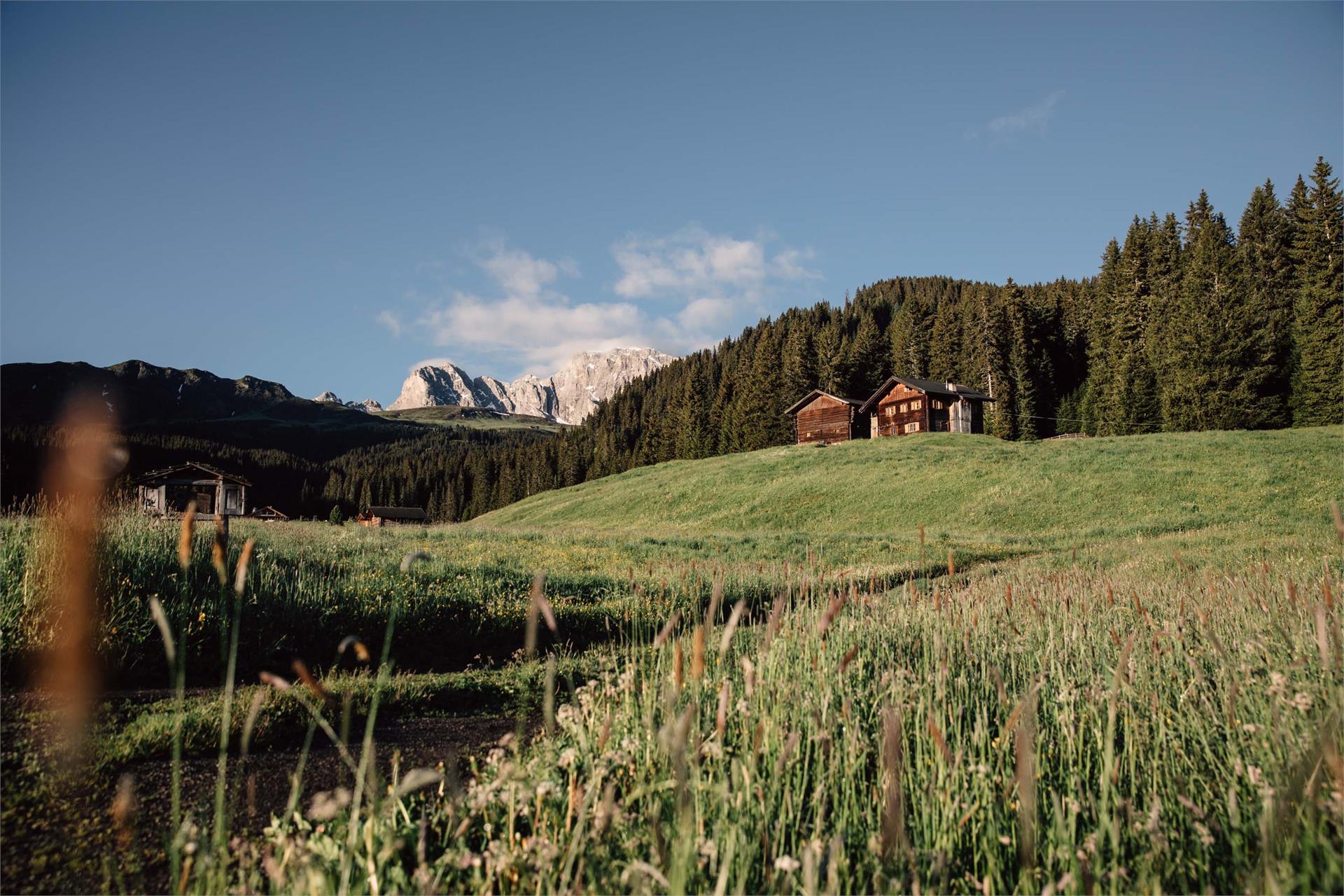 Maliderschwaige Kastelruth 5 suedtirol.info