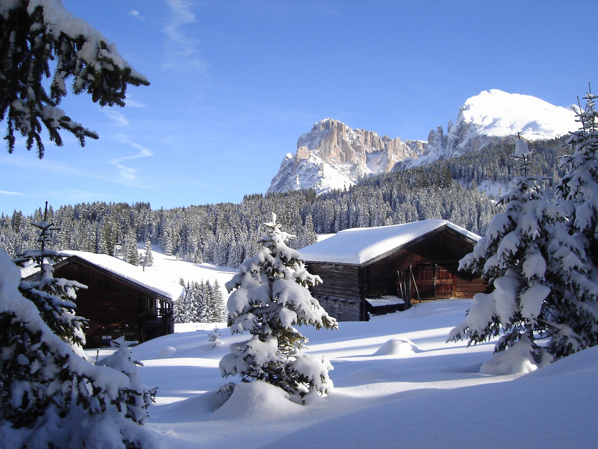 Baita, Alpe di Siusi, Alto Adige, Dolomiti, appartamento,