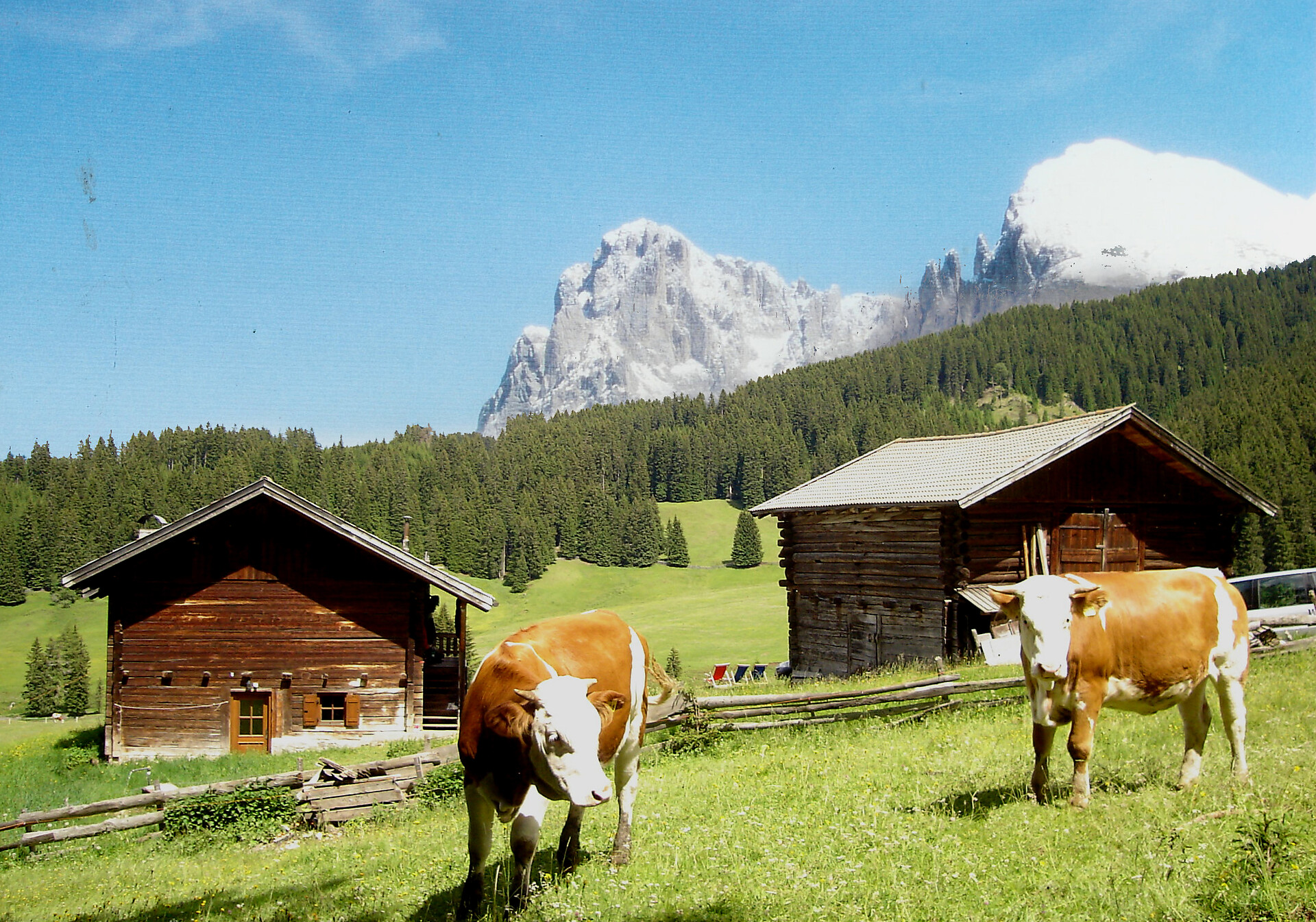 Malga Malider - Regione dolomitica Alpe di Siusi - #21 - suedtirol.info