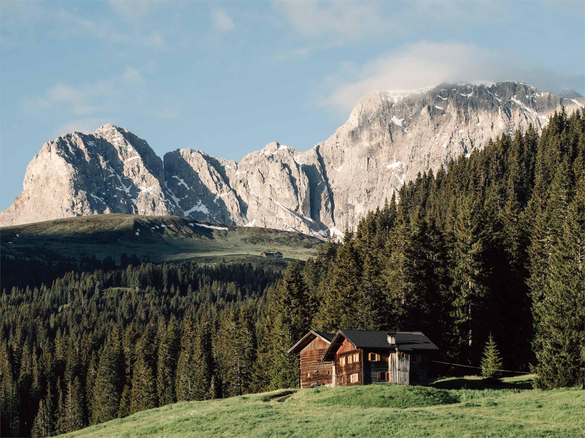 Maliderschwaige Kastelruth 1 suedtirol.info