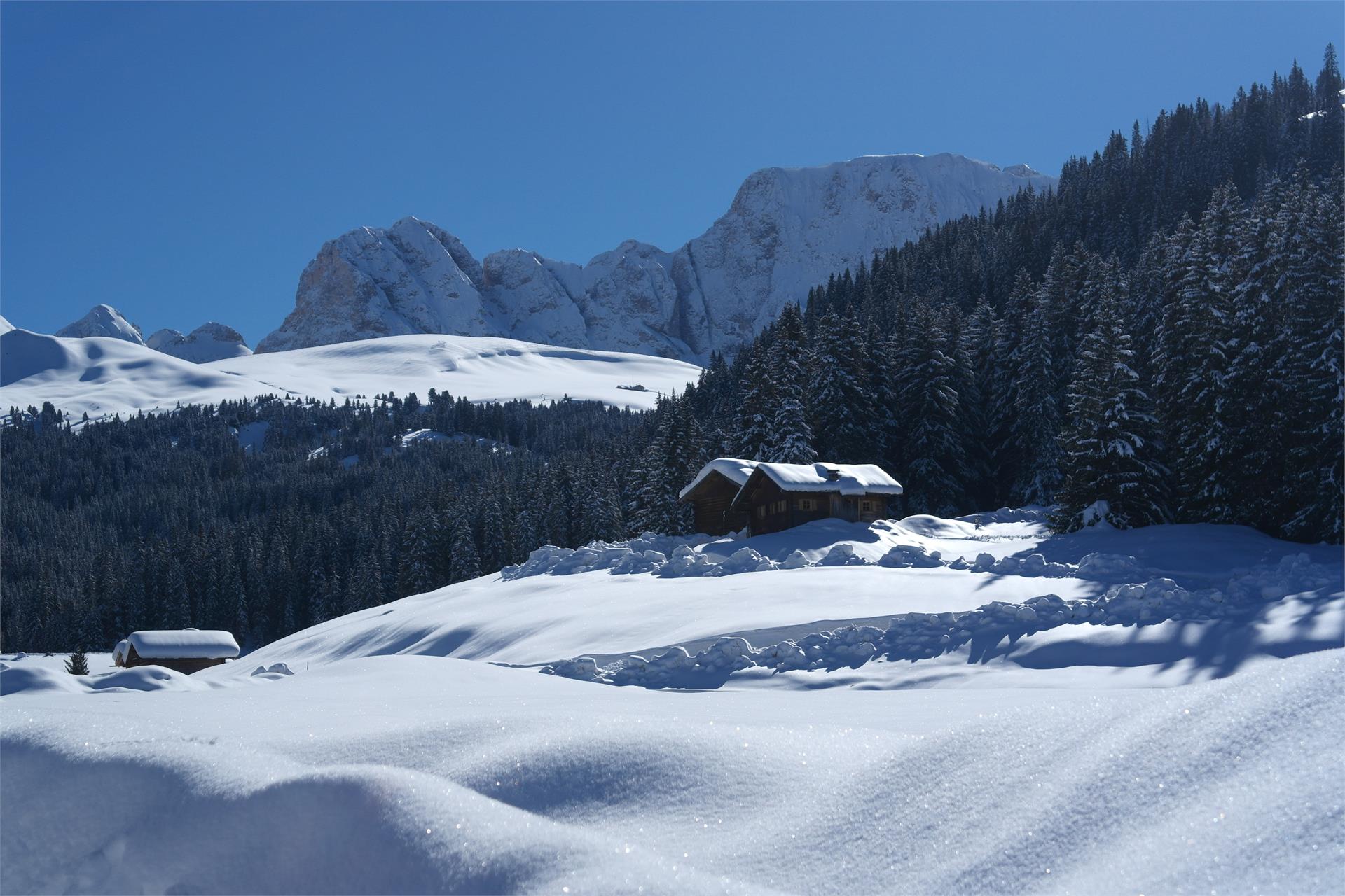 Maliderschwaige Kastelruth 27 suedtirol.info
