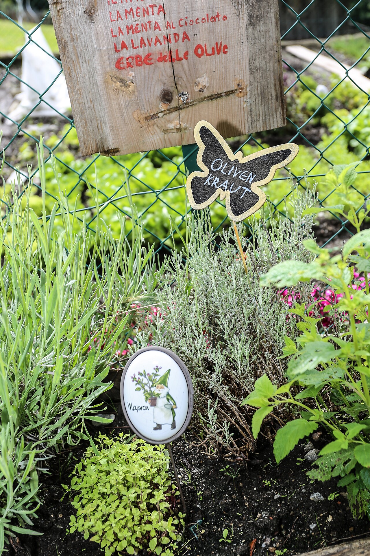 Herb Garden