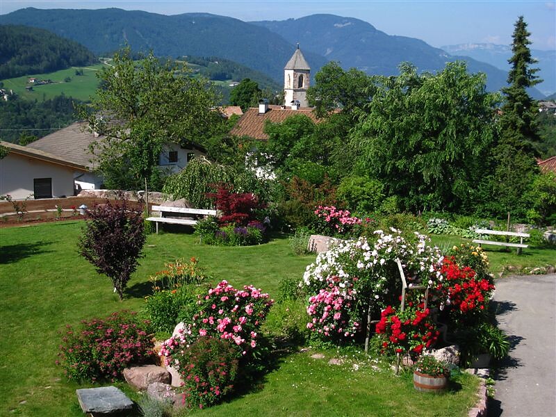 Moarhof