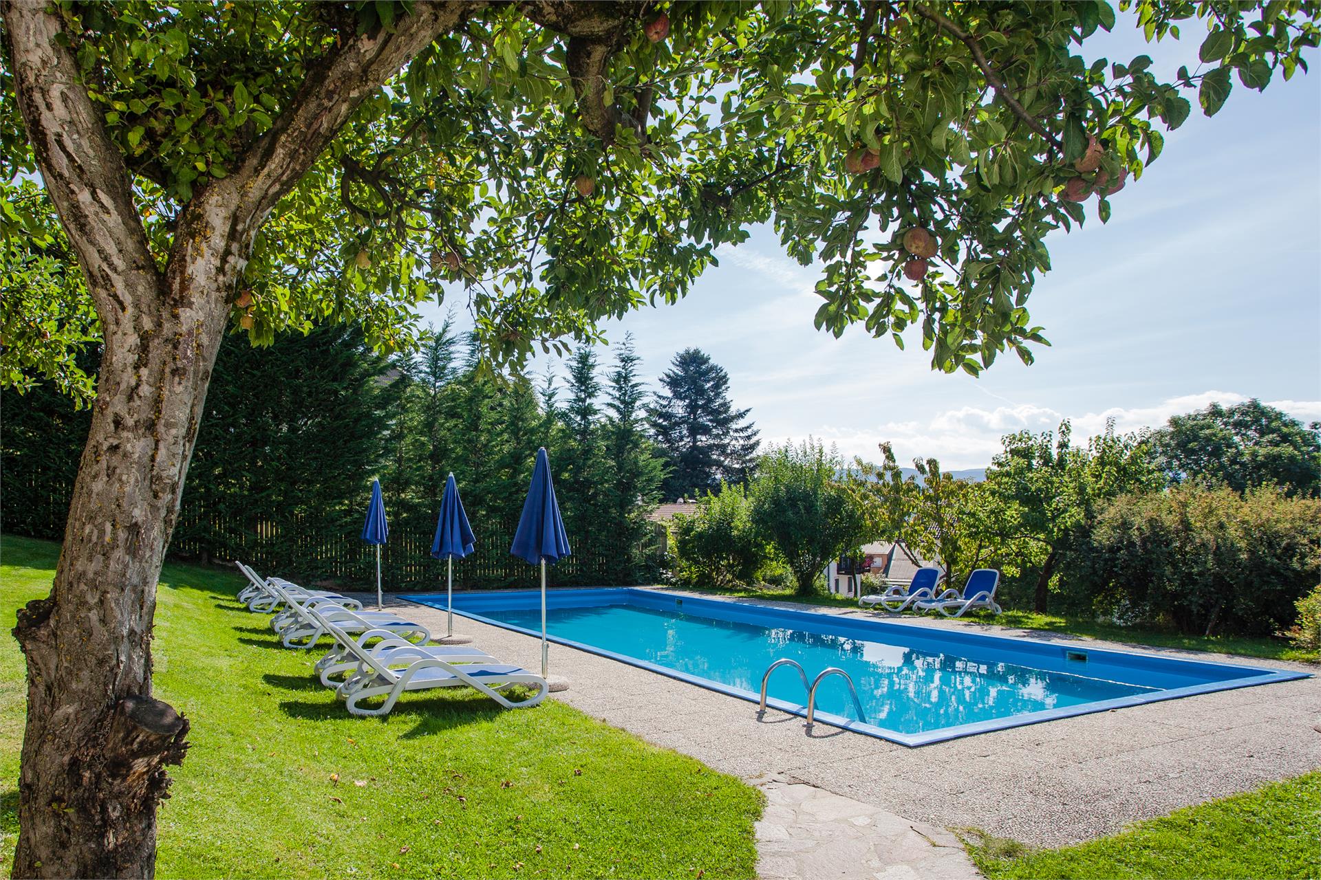 Merlhof Völs am Schlern 26 suedtirol.info