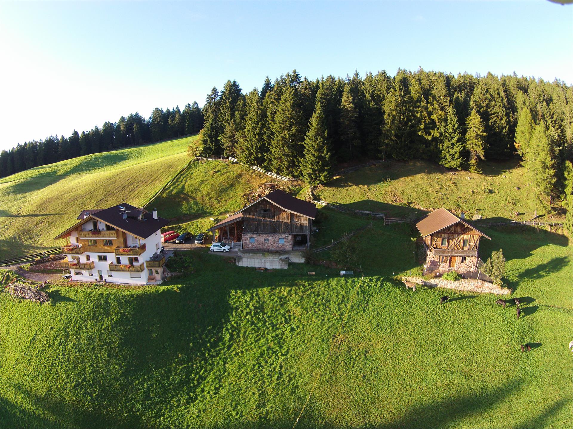 Mandlerhof Vöran/Verano 6 suedtirol.info