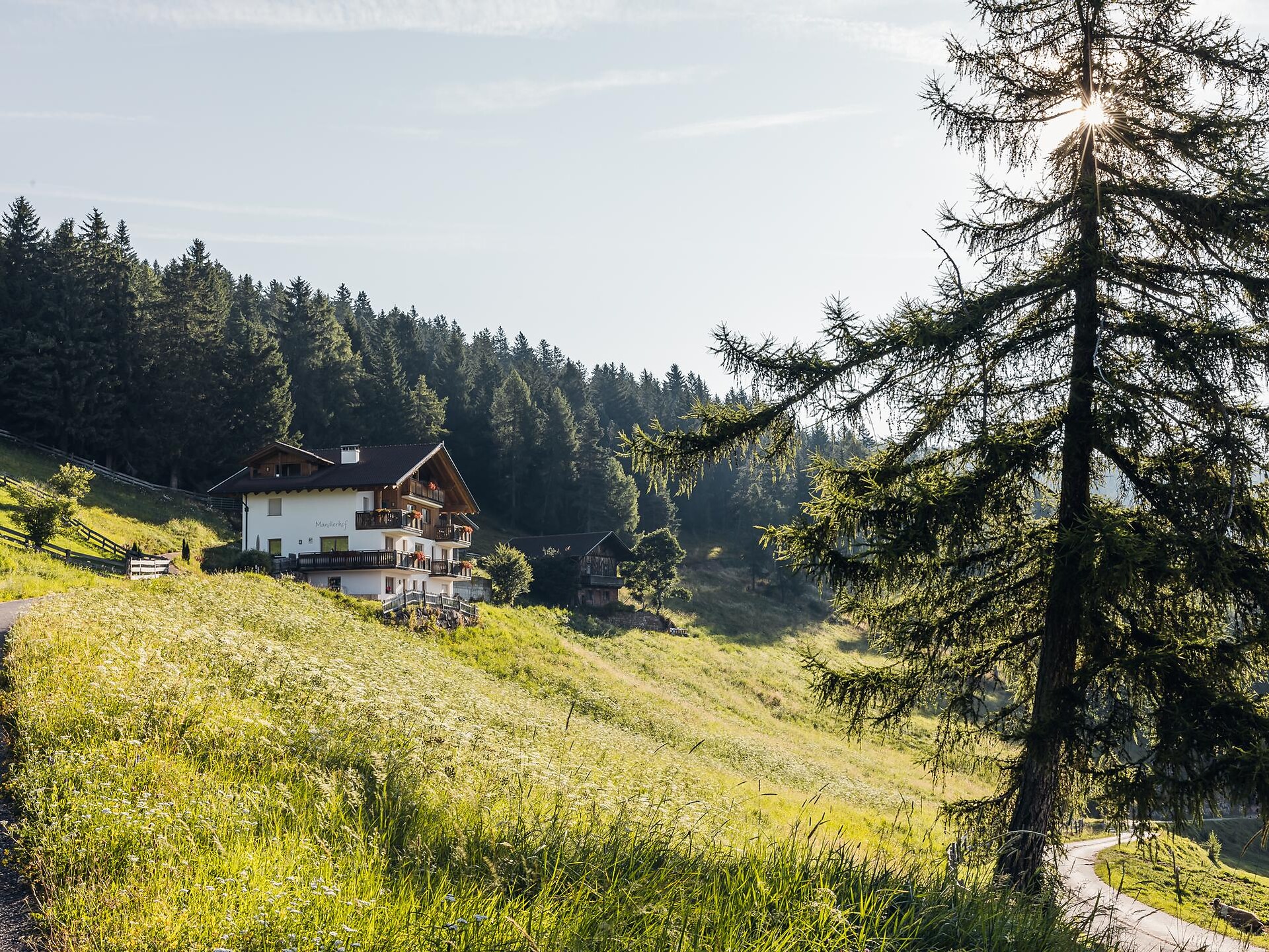 Mandlerhof Vöran/Verano 1 suedtirol.info