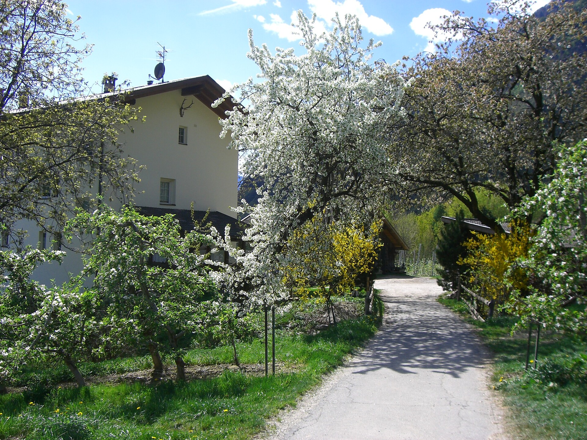 Mareinhof