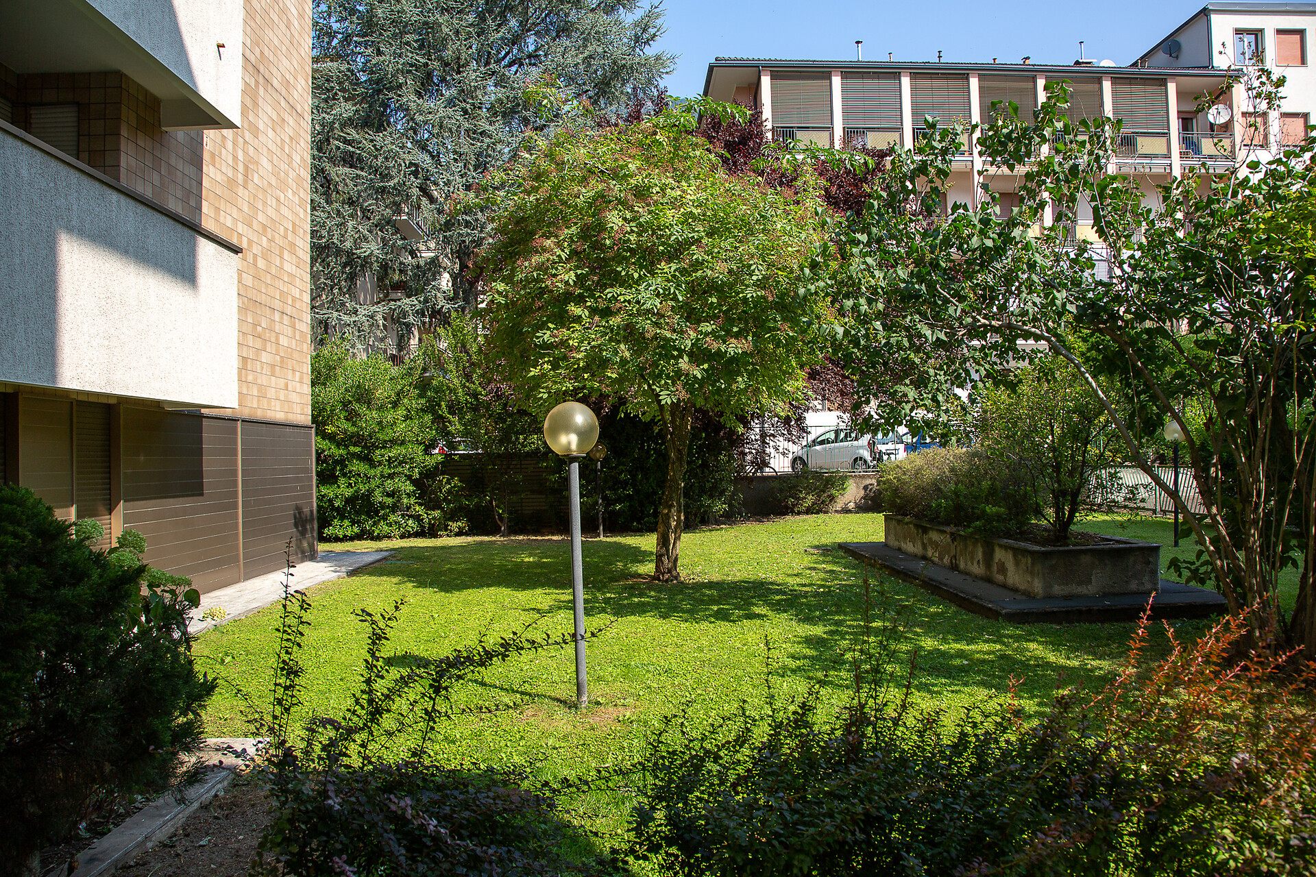 Garden of the condominium