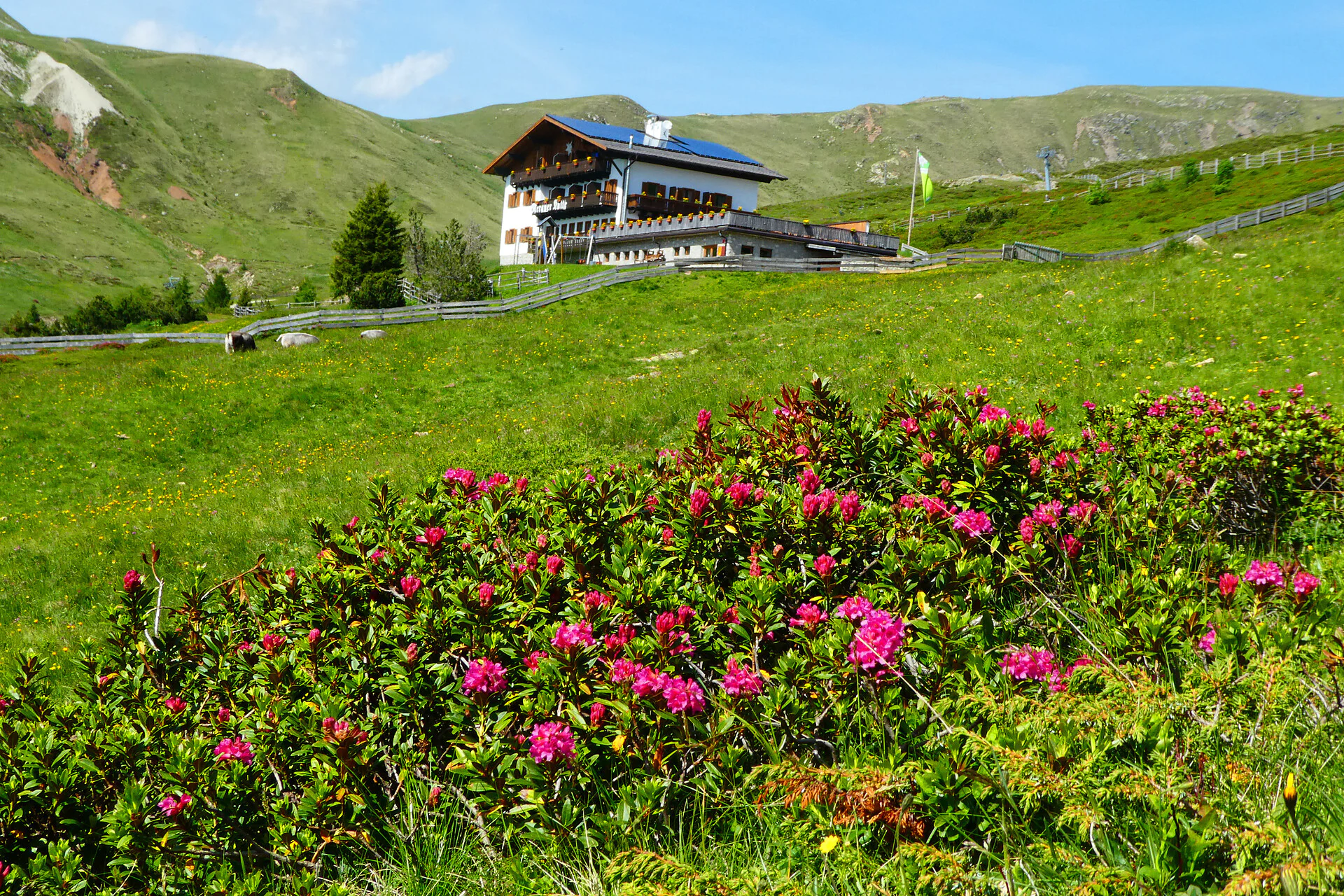 Meraner Hütte Hafling/Avelengo 2 suedtirol.info