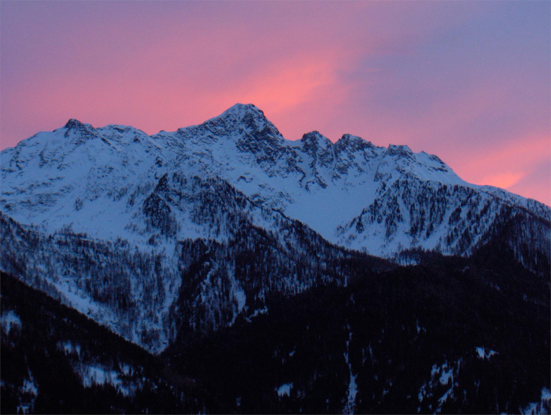 Matscherhof Ulten 11 suedtirol.info
