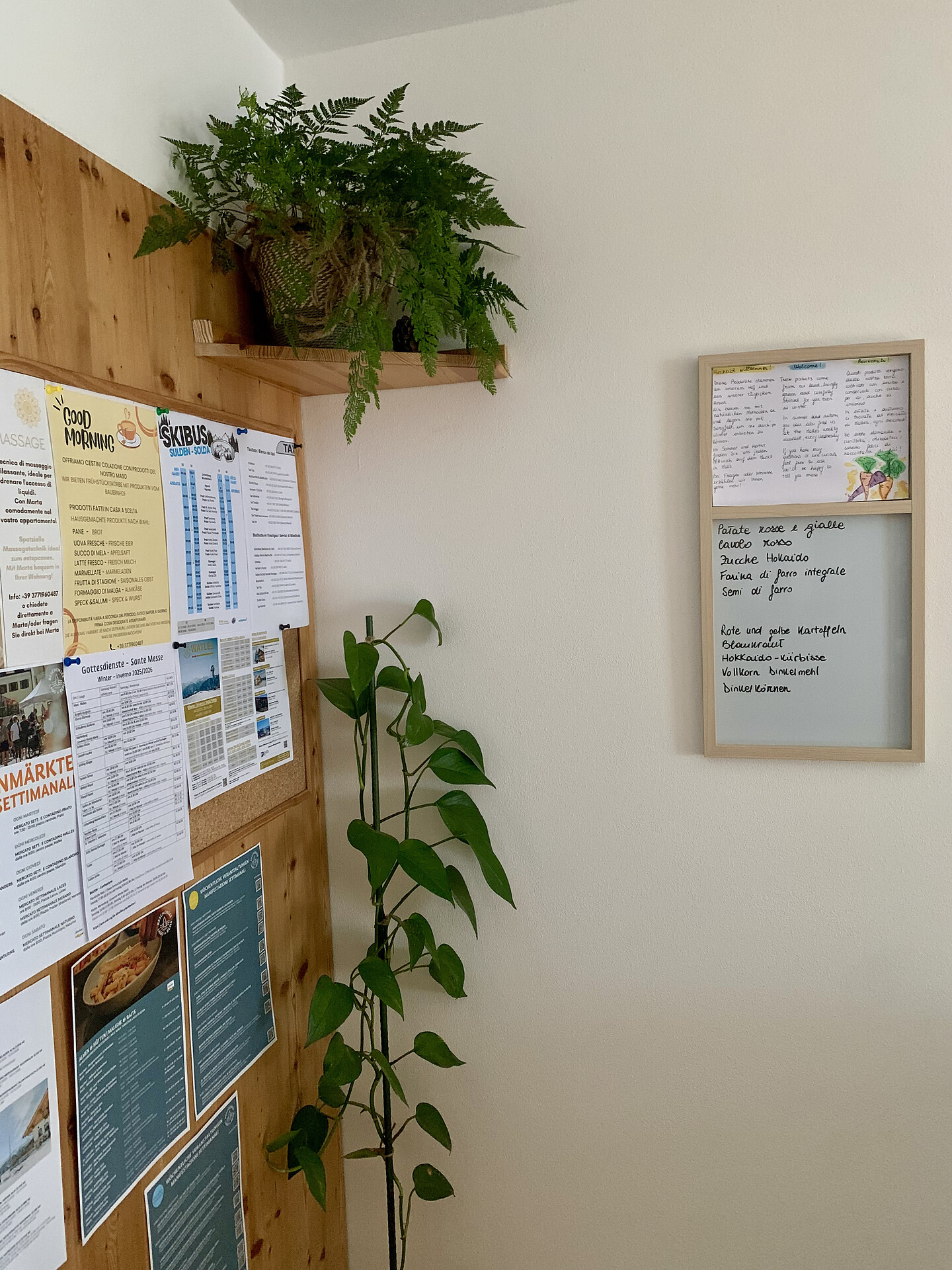 Infostand mit Flyern und Tafel – frisches saisonales Gemüse für unsere Gäste verfügbar.