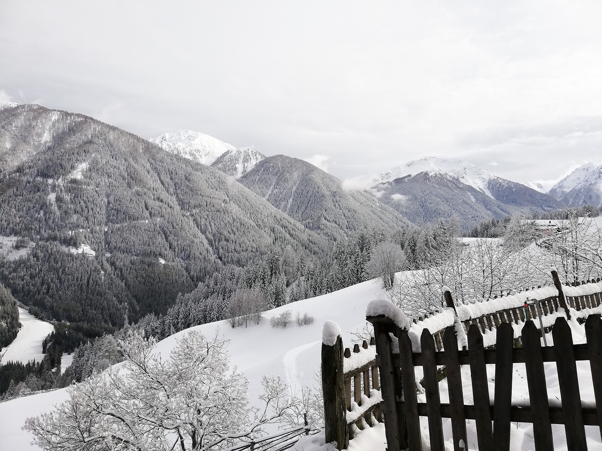 Winterpanorama