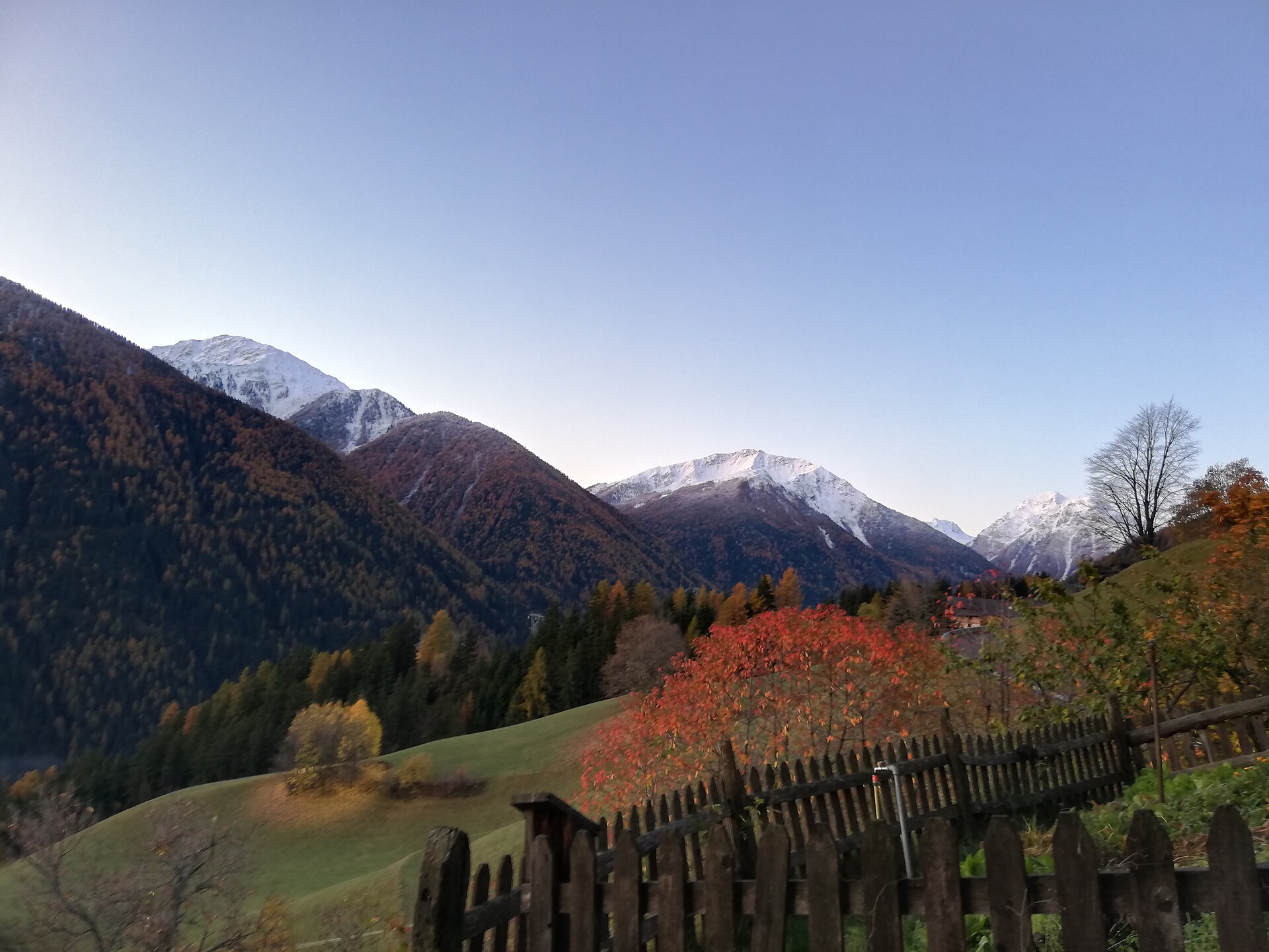 Herbst