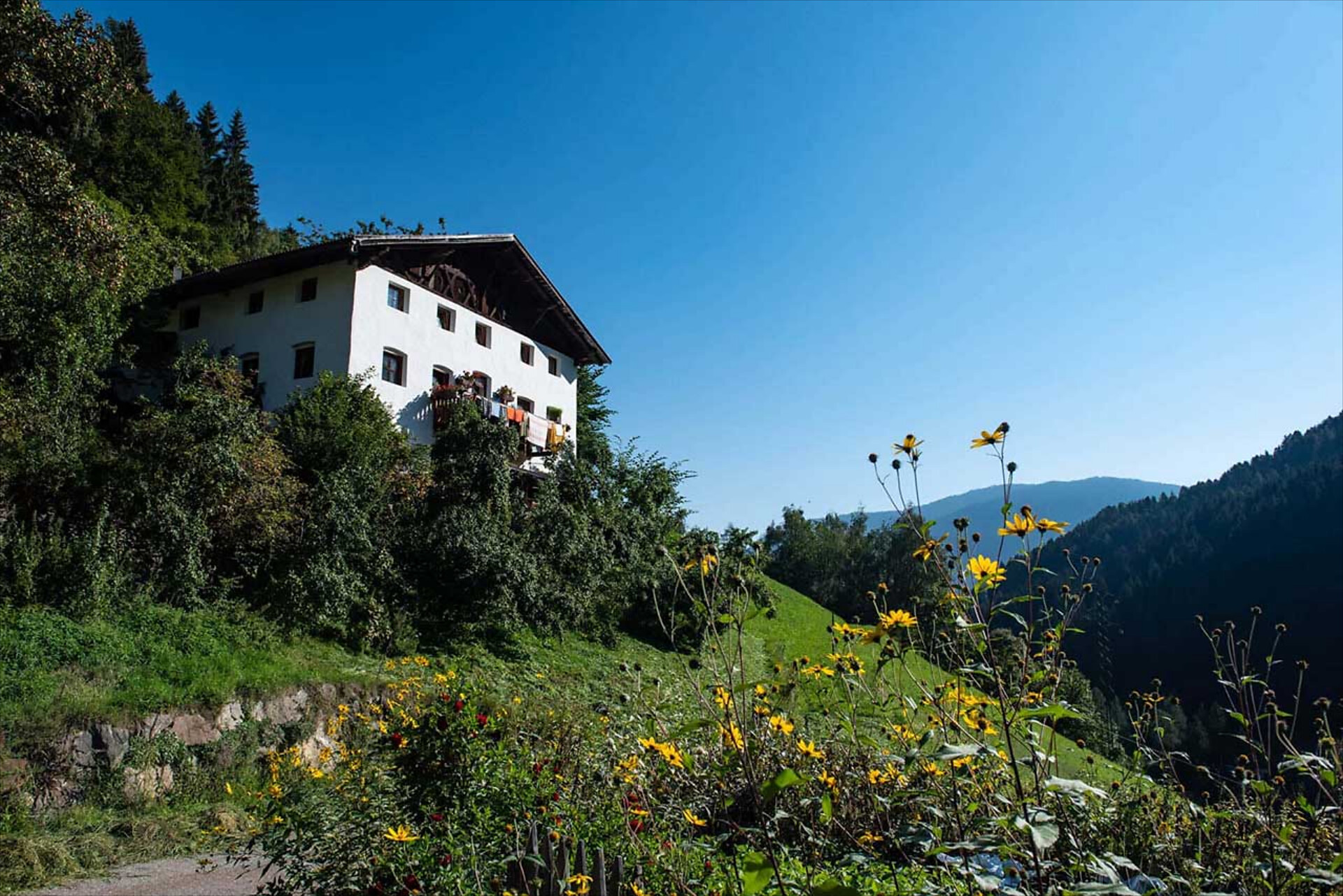 Mitterbirbachhof - Meran/Merano and environs - #6 - suedtirol.info