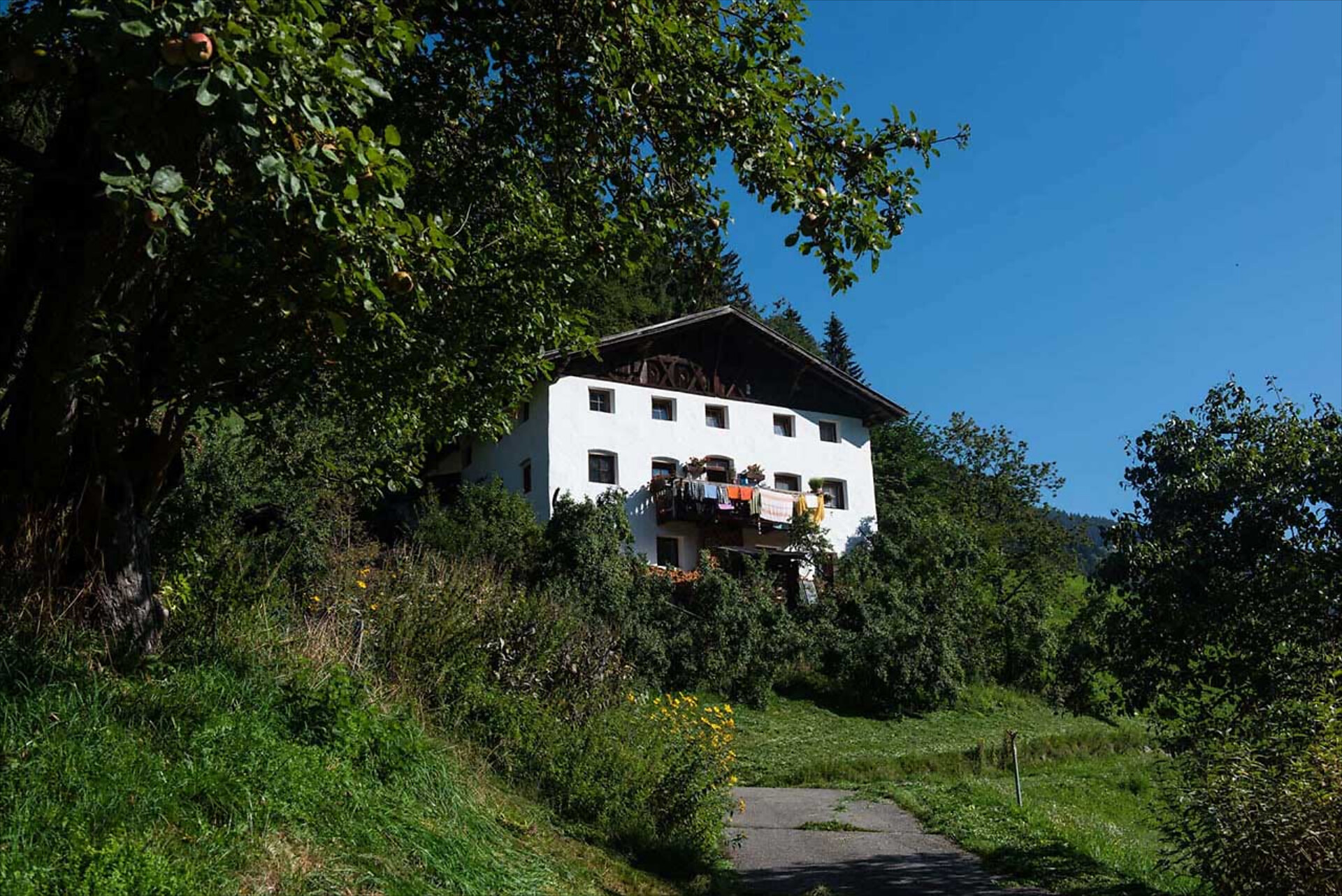 Mitterbirbachhof - Meran/Merano and environs - #5 - suedtirol.info