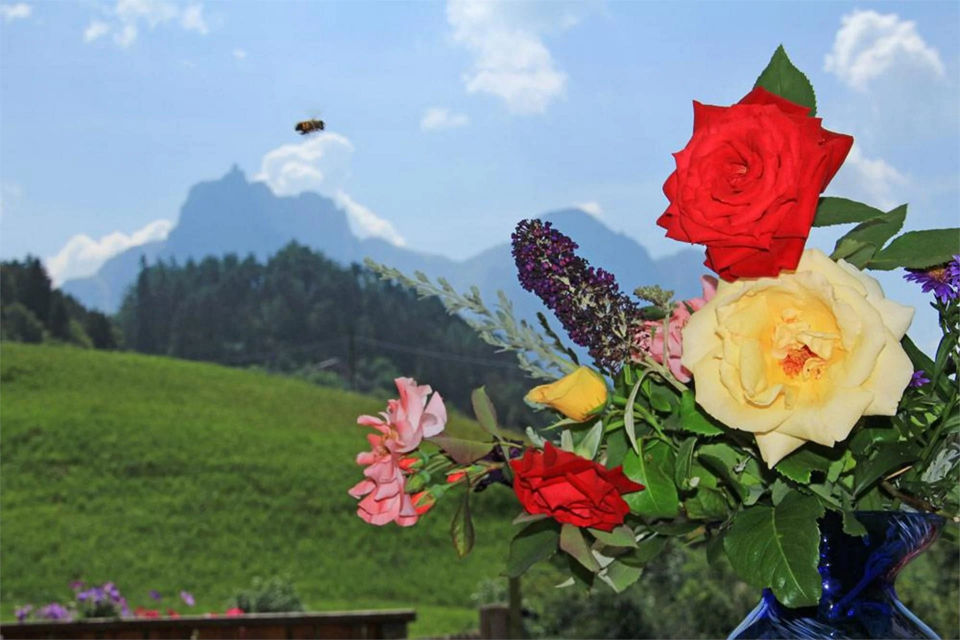 Maso Müller Castelrotto 14 suedtirol.info