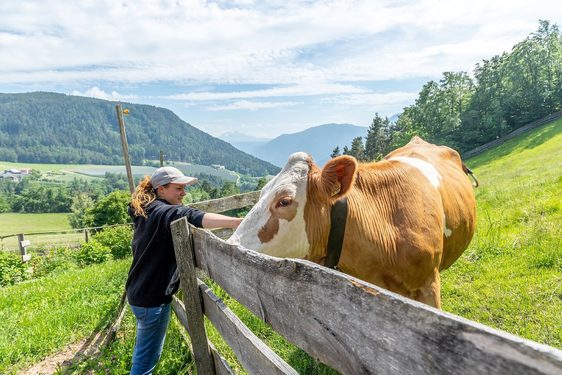 Michaela and a cow