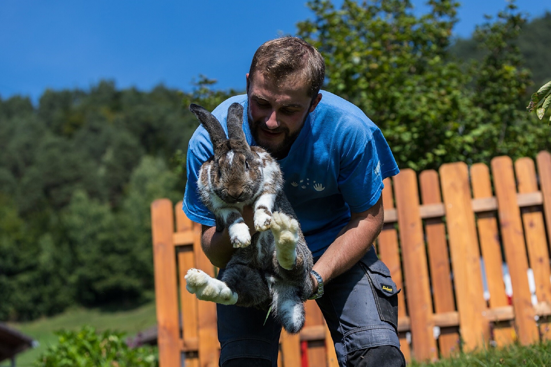 Peter with the rabbit Pablo