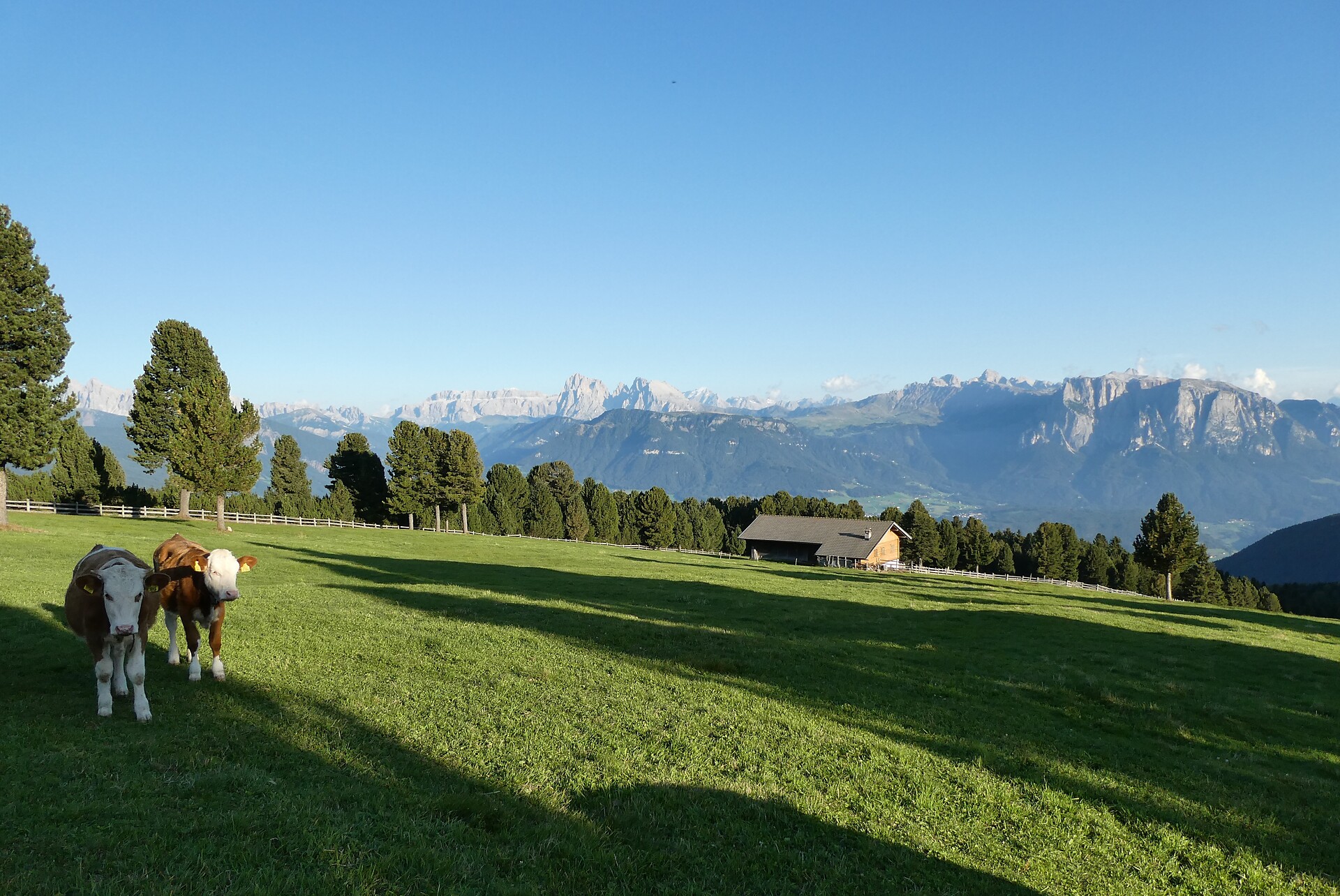 Alpe