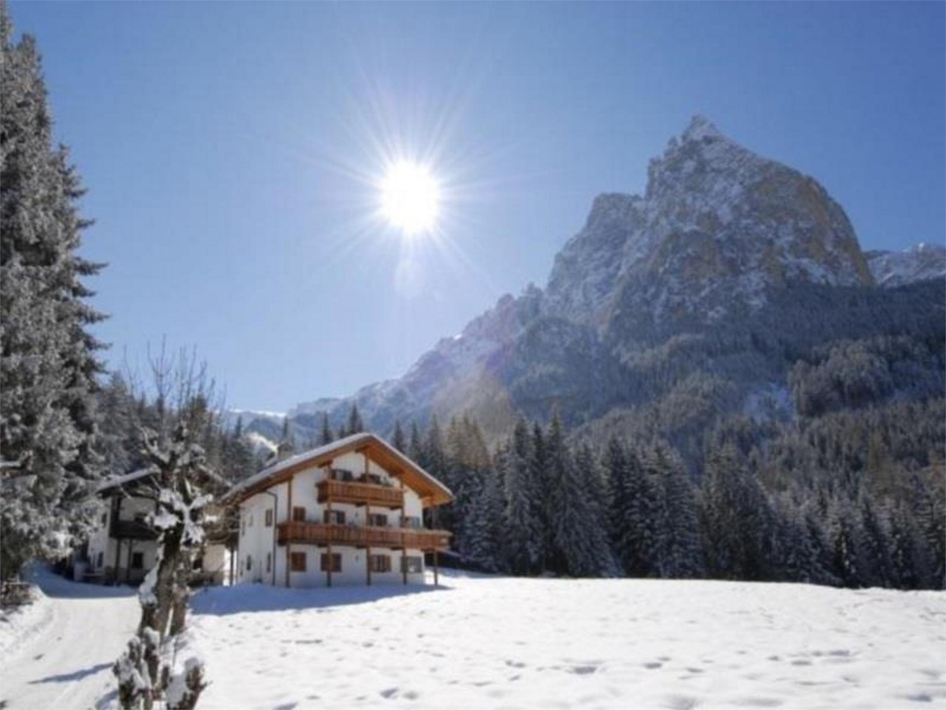 Miesnerhof Kastelruth/Castelrotto 4 suedtirol.info